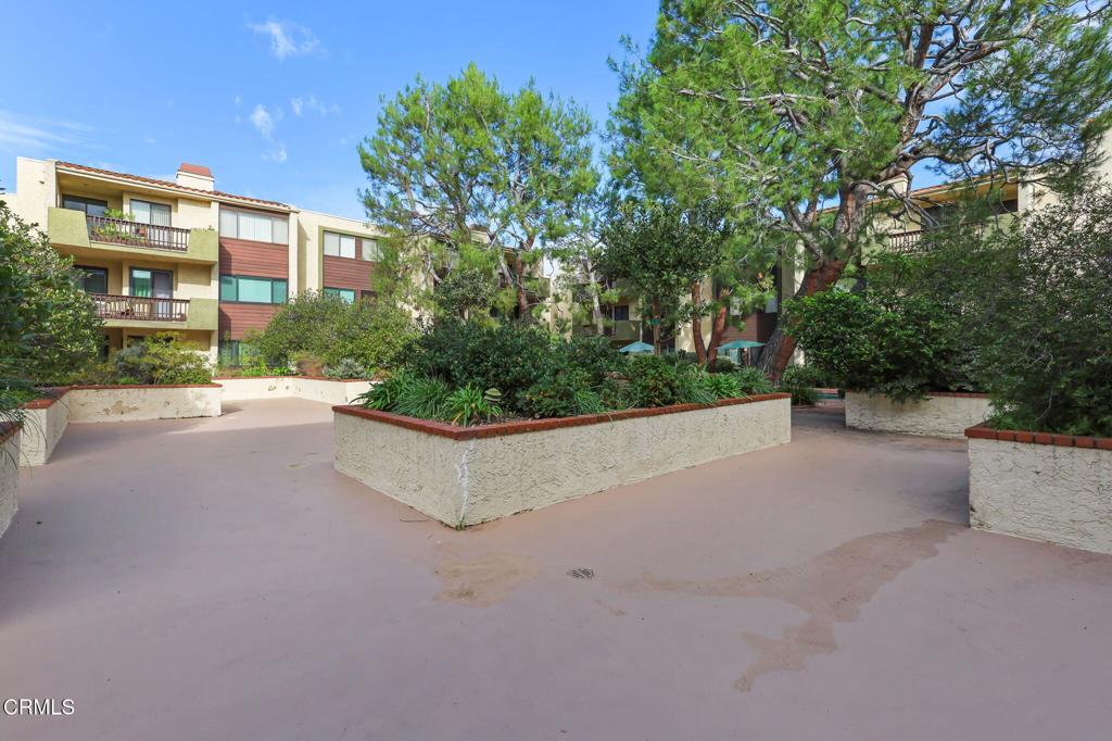 497 E California Boulevard 318