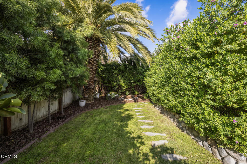 559 MacDonald Street