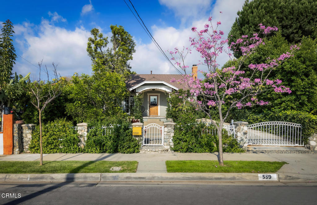 559 MacDonald Street