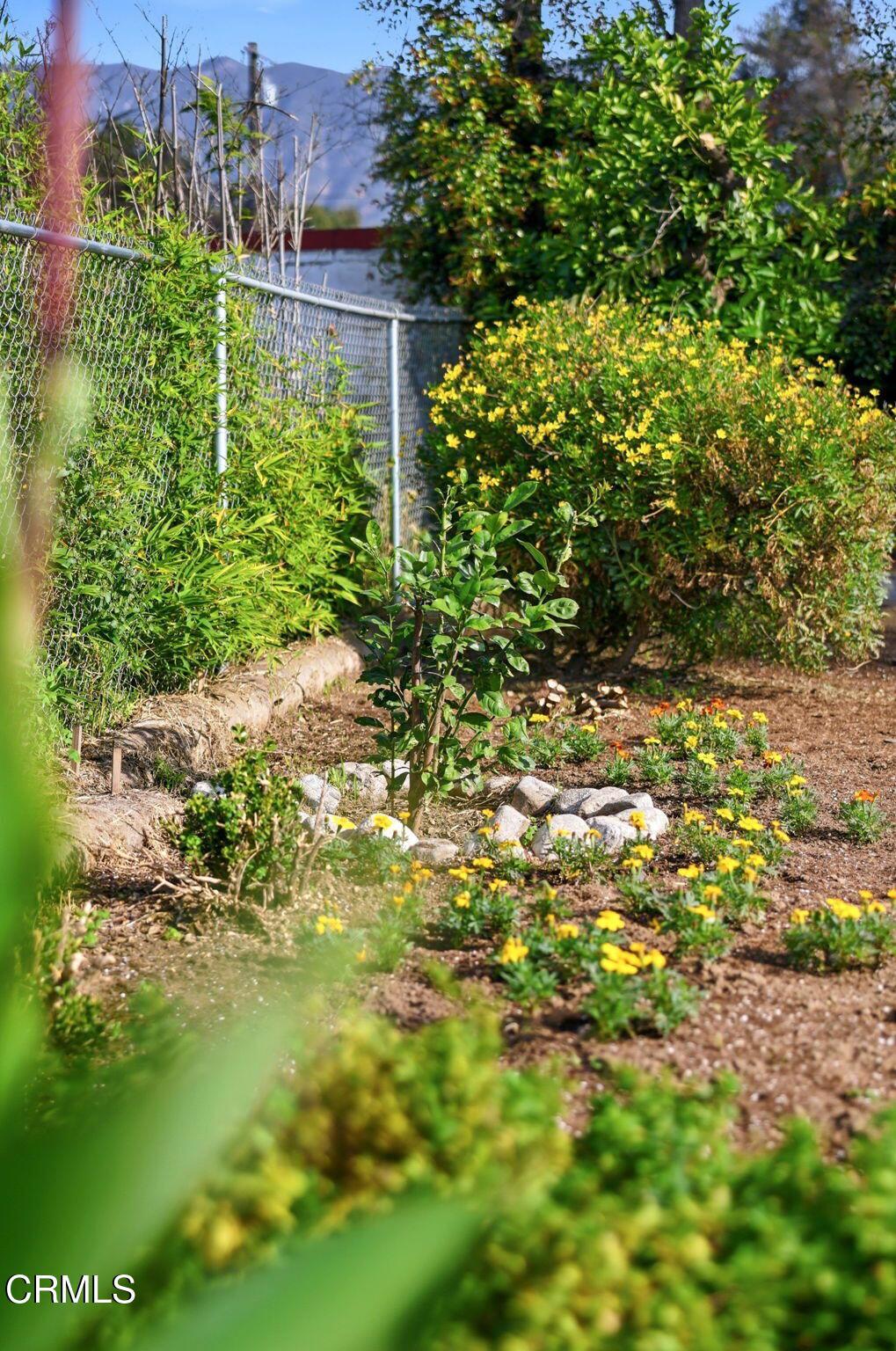 79 E Calaveras Street