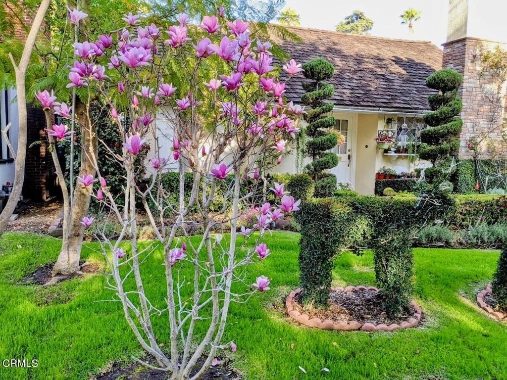 2156 El Molino Place