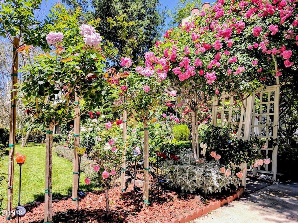 2156 El Molino Place