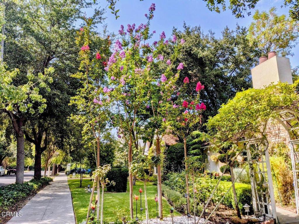 2156 El Molino Place