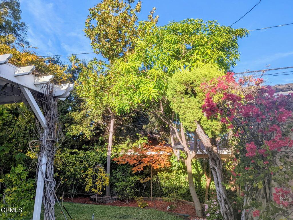 2156 El Molino Place