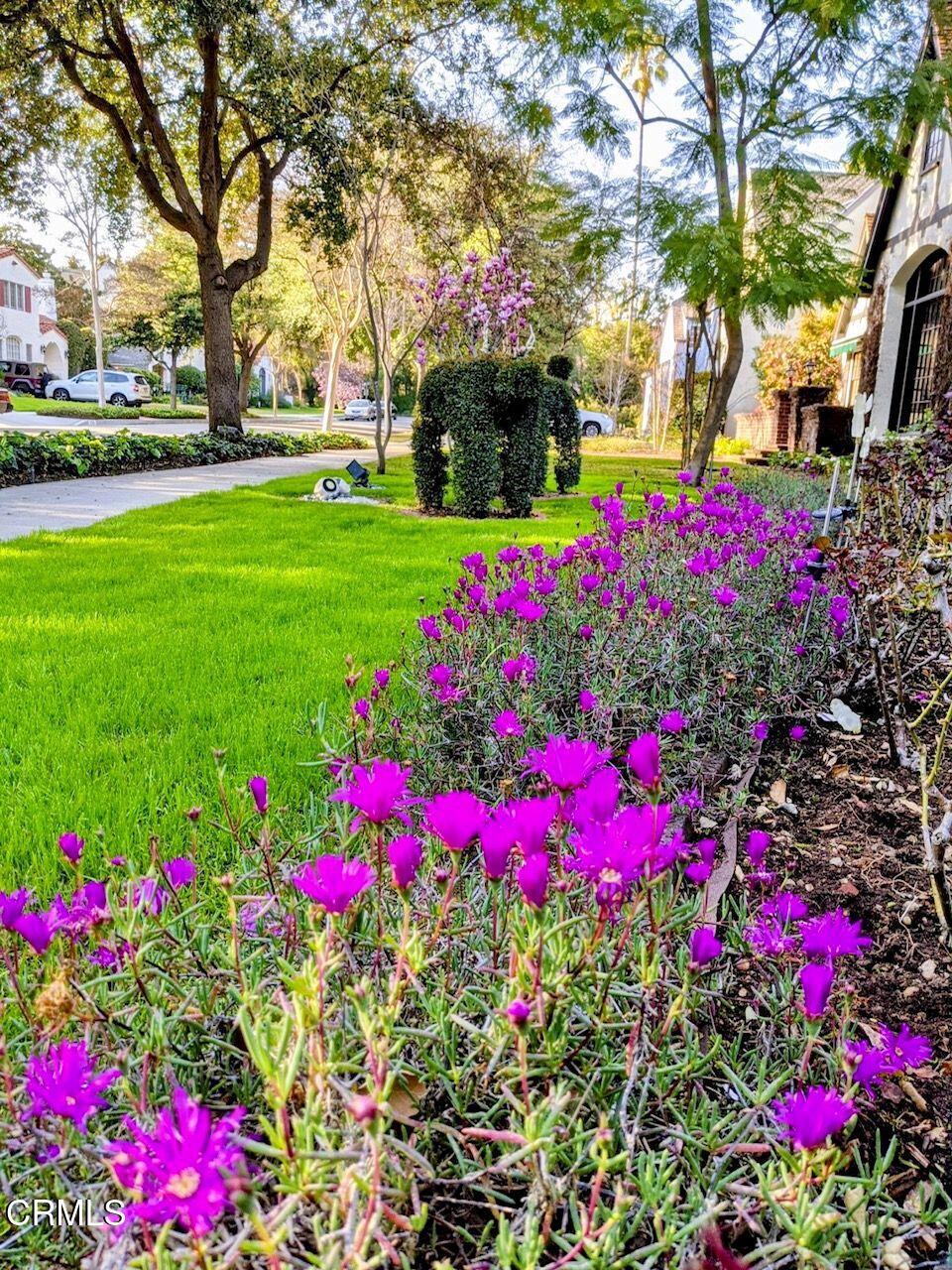 2156 El Molino Place