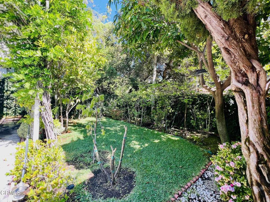 2156 El Molino Place