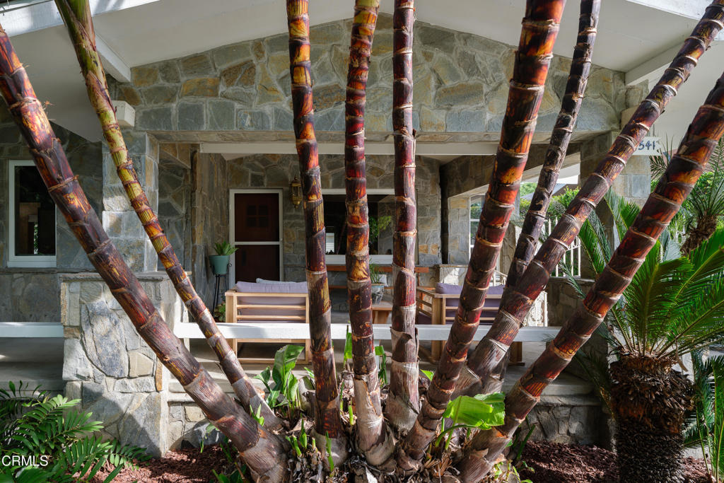 1541 Chickasaw Avenue