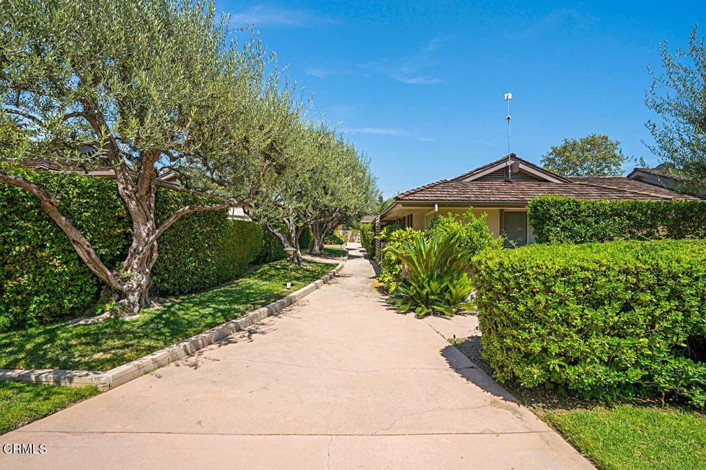1040 S Orange Grove 1
