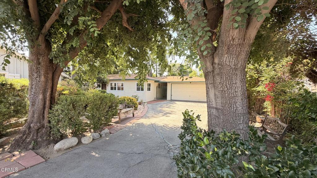8726 Daines Drive