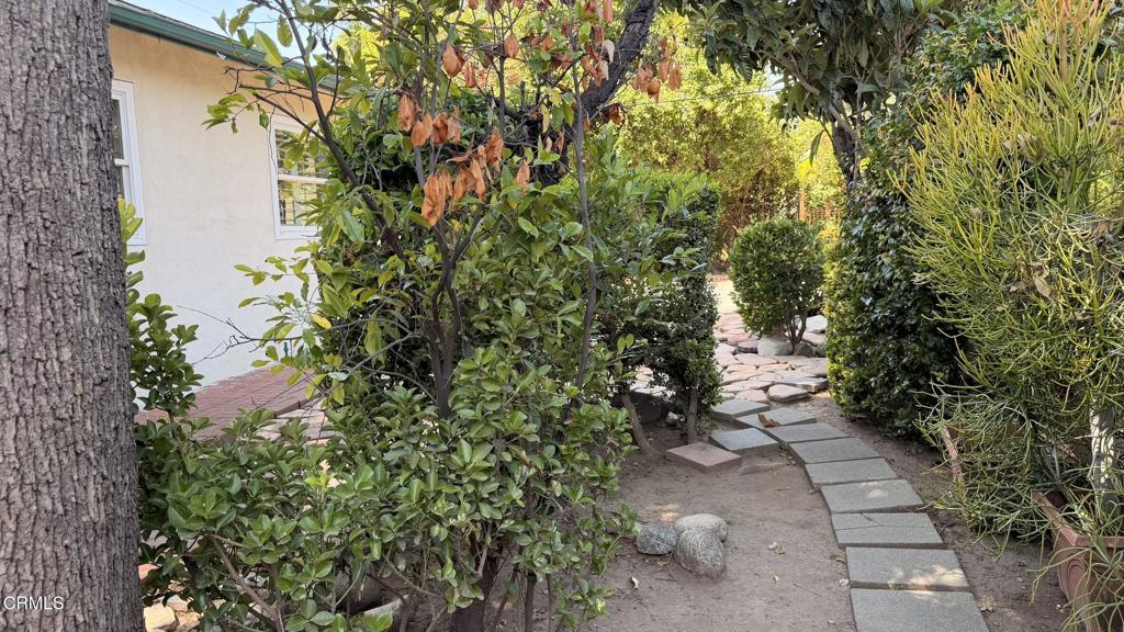 8726 Daines Drive