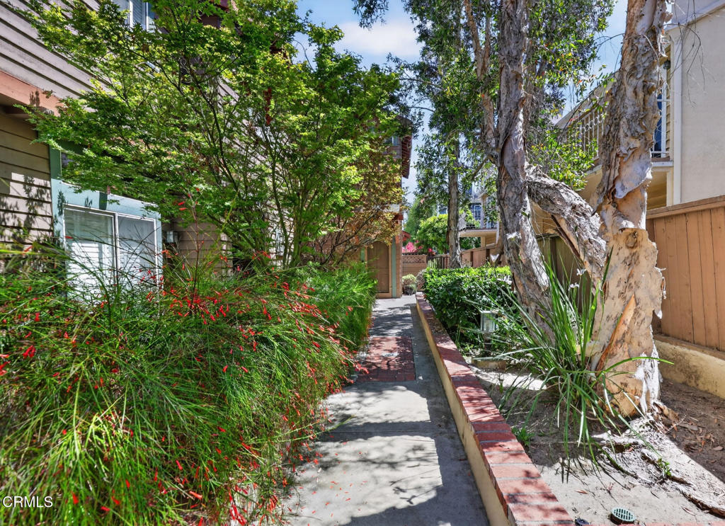 306 Alpine Street 5