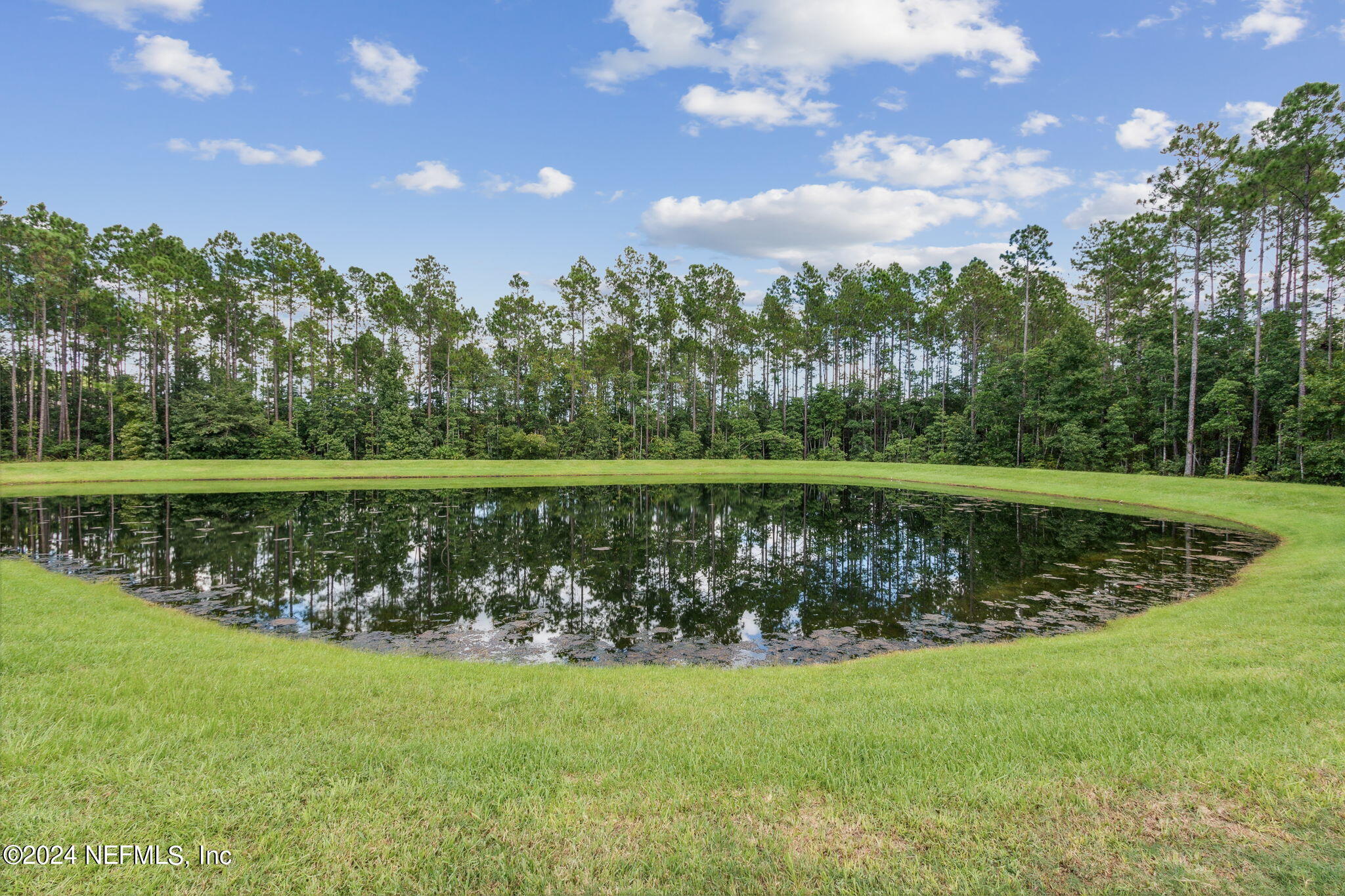 461 SERVIA Drive