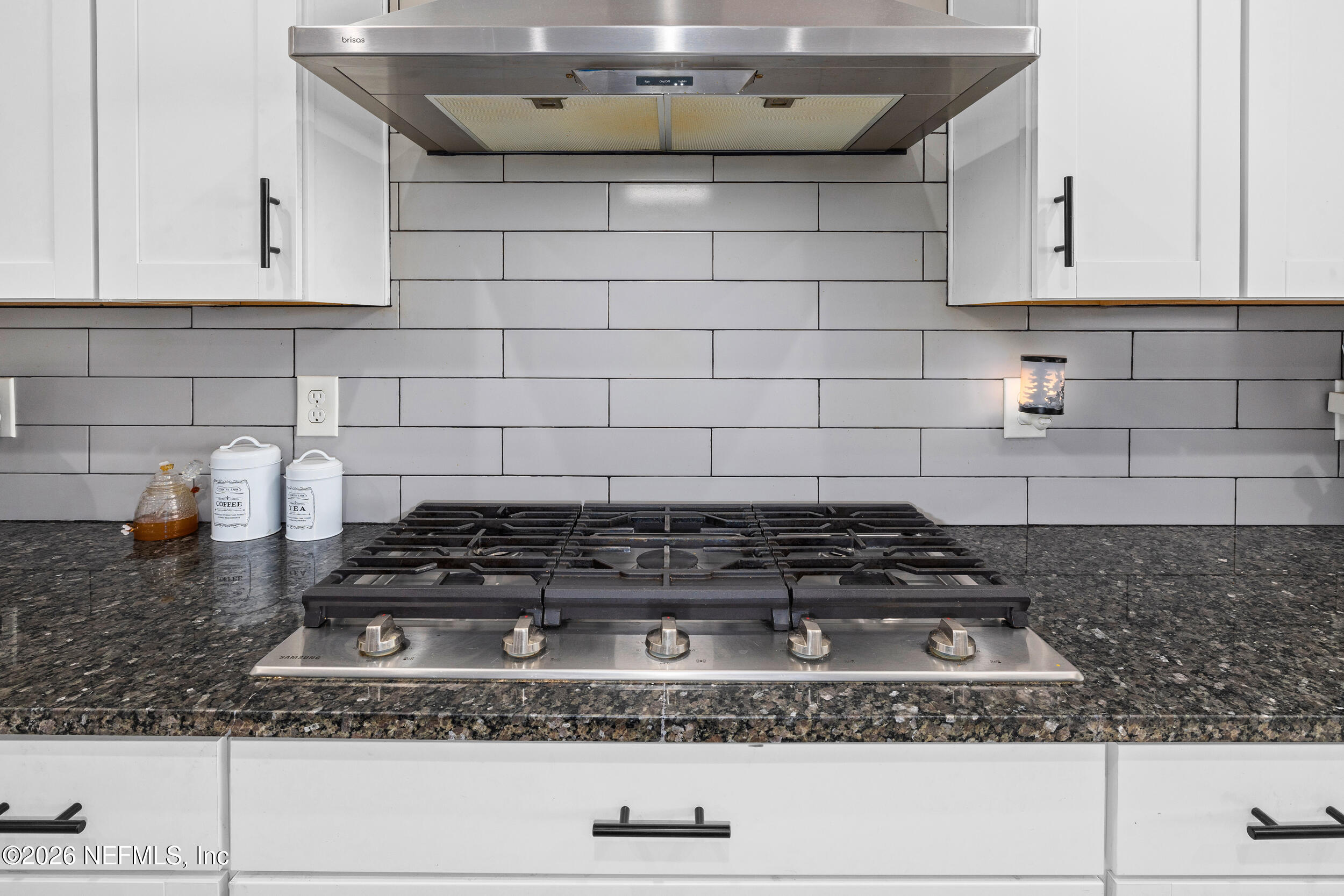 123 THATCHAM Drive, St. Augustine