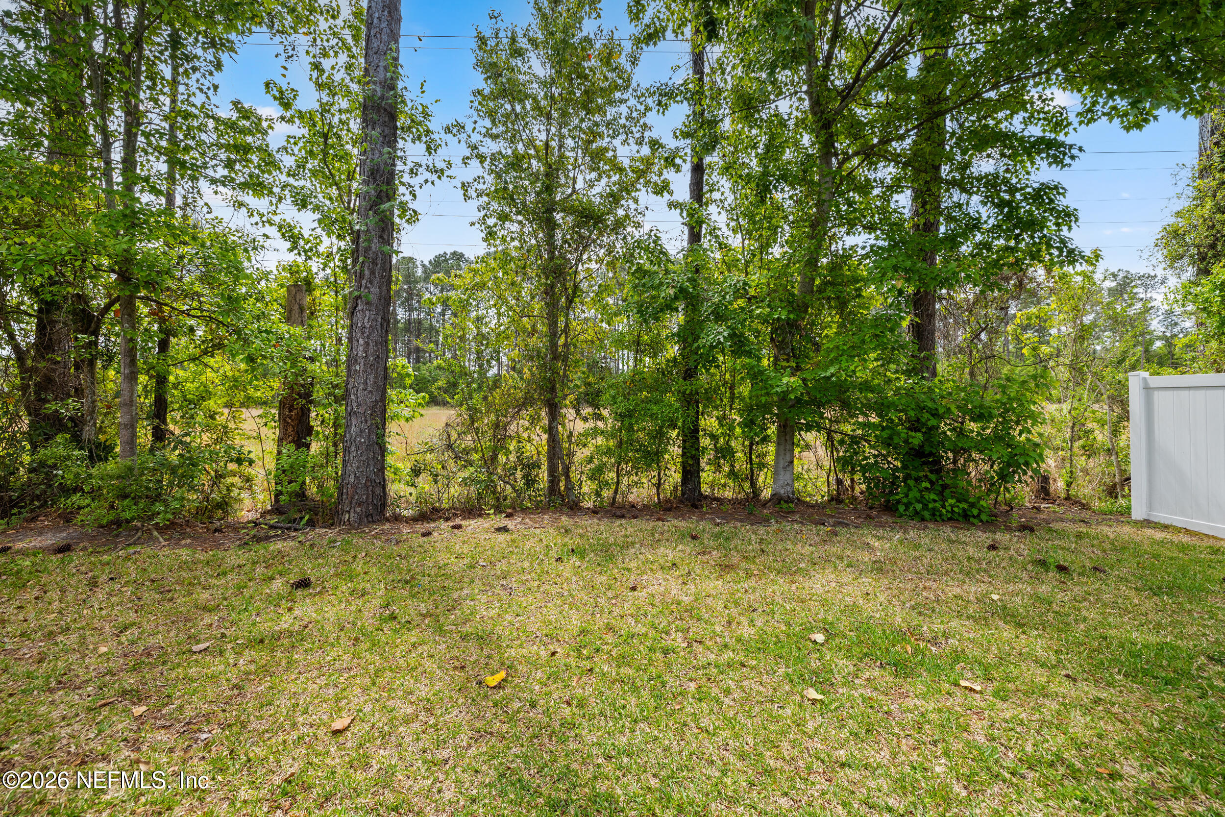 12114 JADE POINT Court
