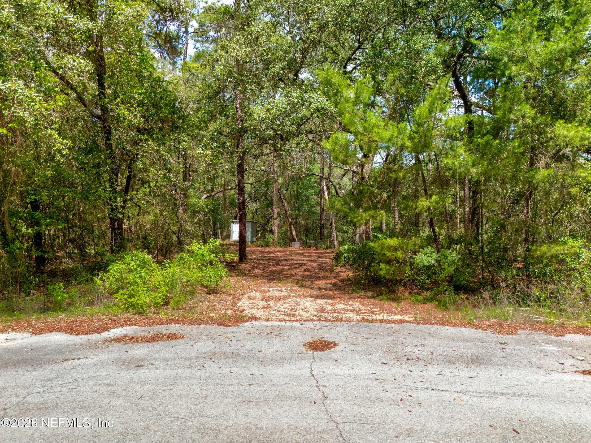 0 NE 115 AVENUE Avenue, Fort McCoy