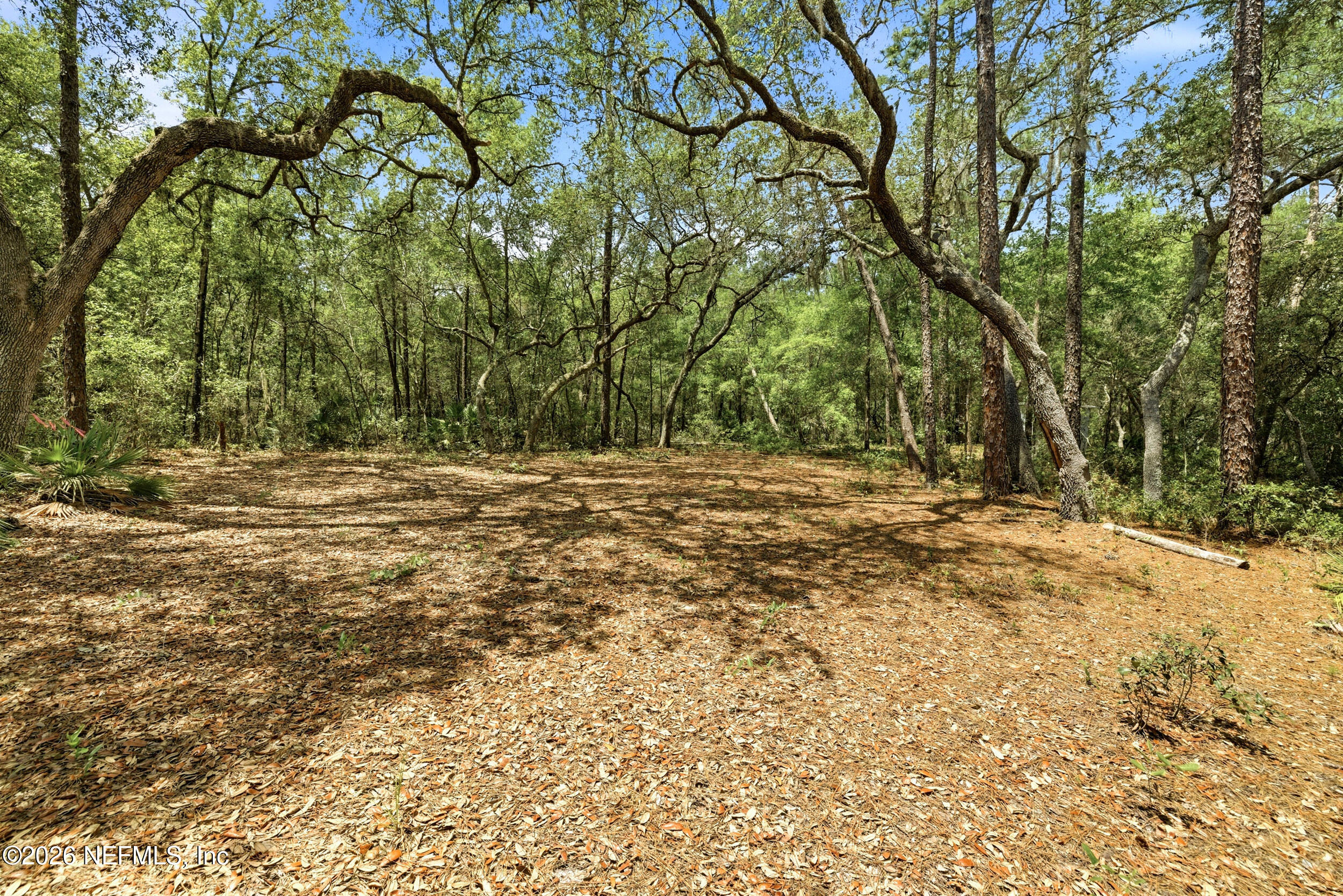 0 NE 115 AVENUE Avenue, Fort McCoy
