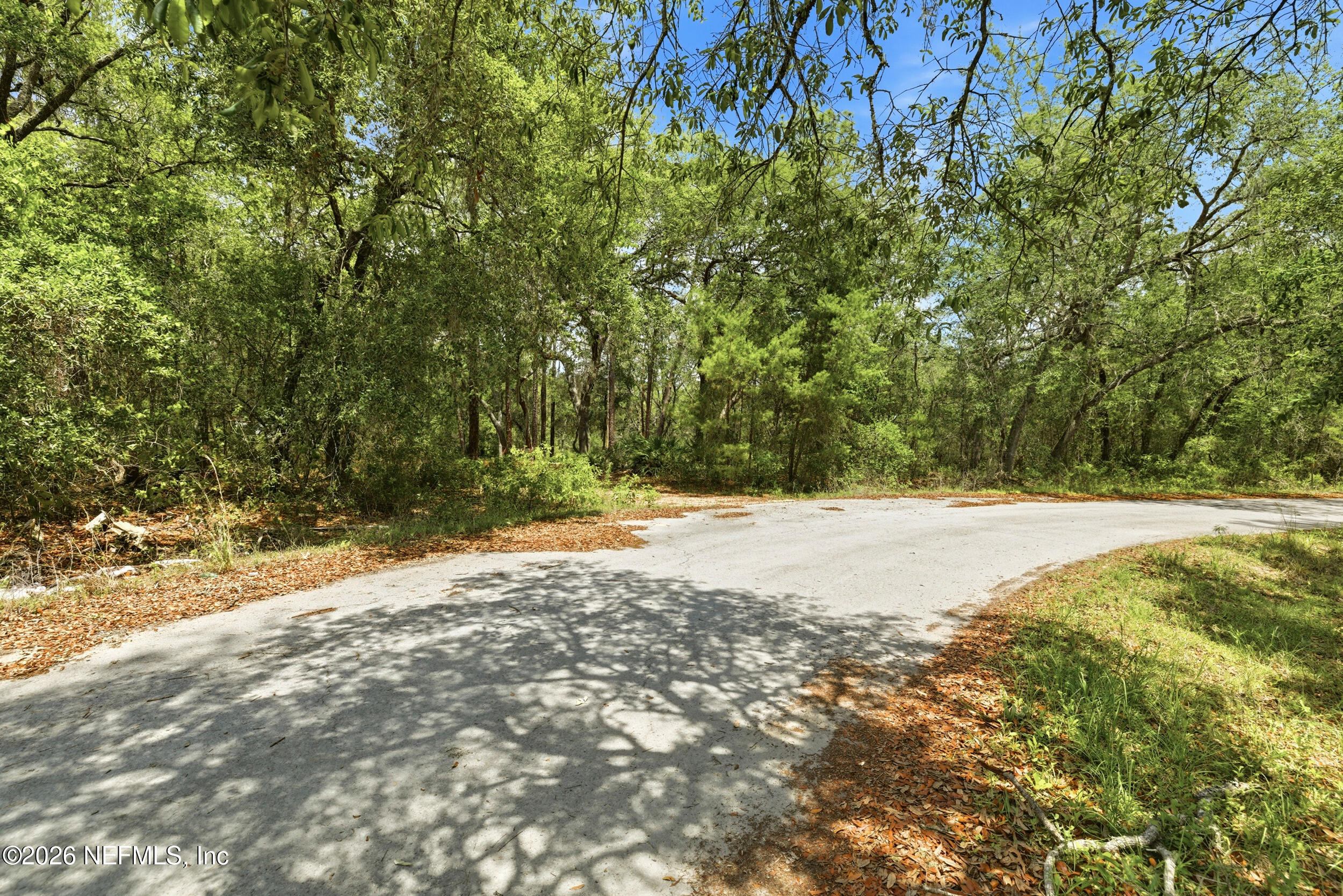 0 NE 115 AVENUE Avenue, Fort McCoy