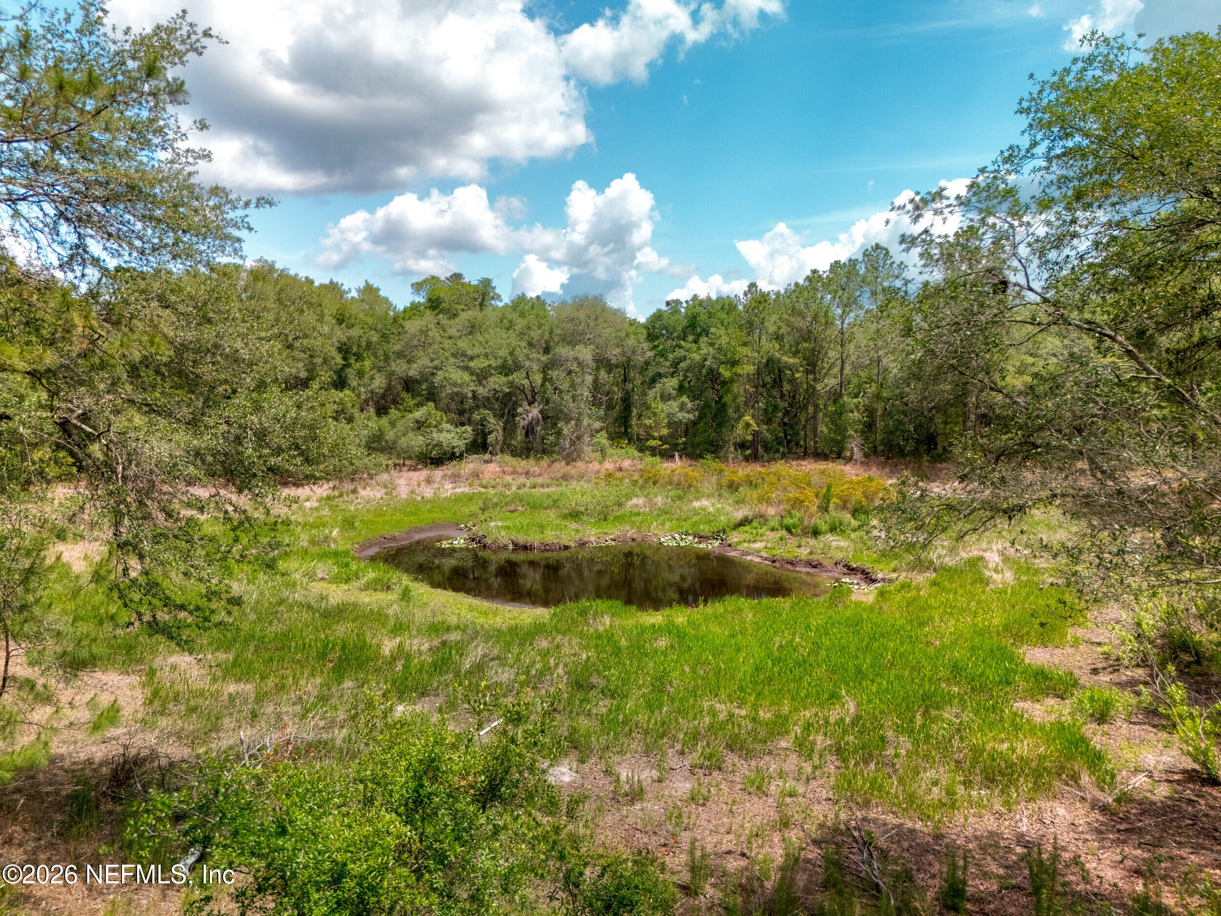 0 NE 115 AVENUE Avenue, Fort McCoy