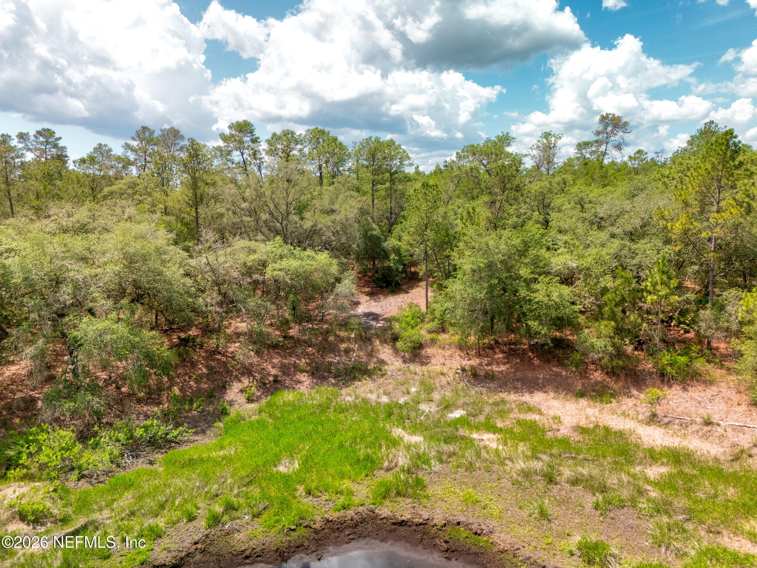 0 NE 115 AVENUE Avenue, Fort McCoy