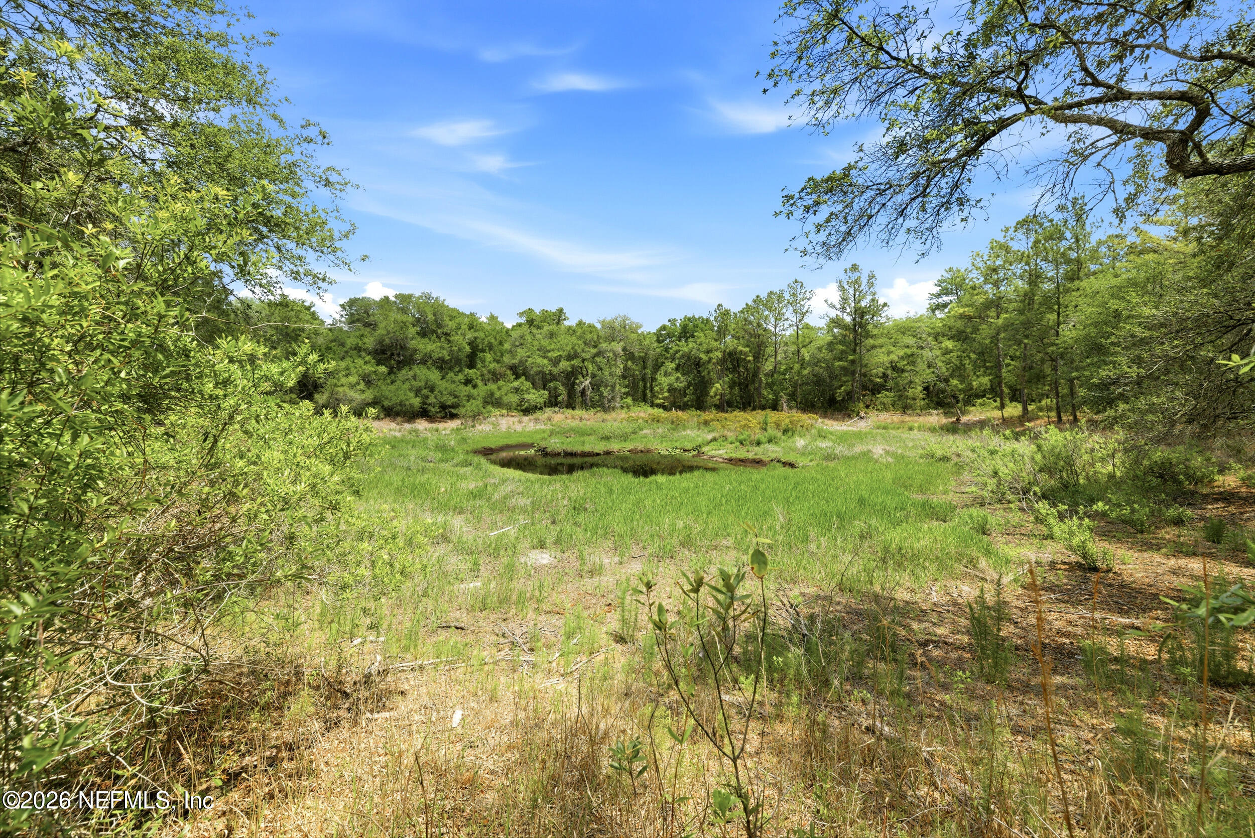 0 NE 115 AVENUE Avenue, Fort McCoy
