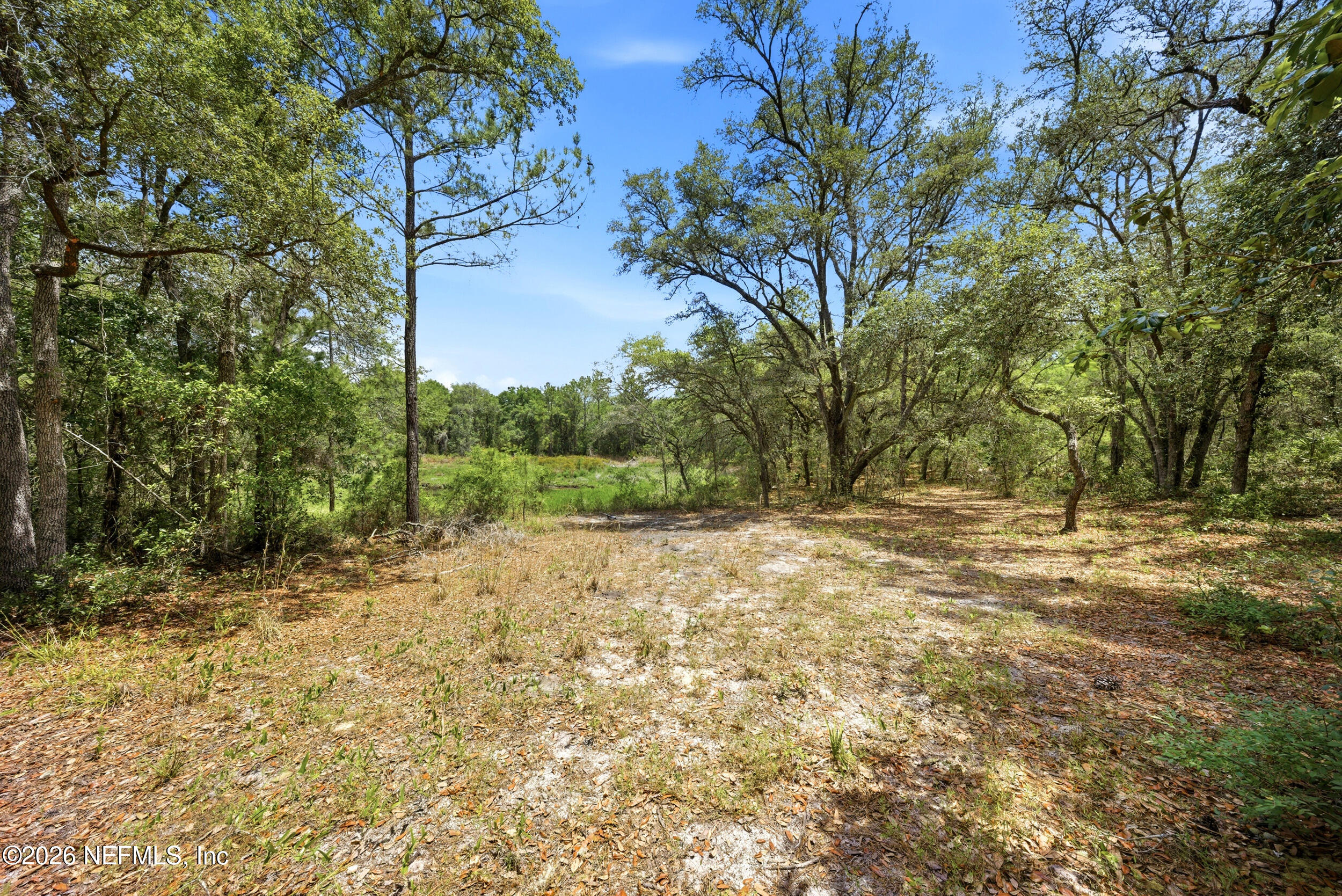 0 NE 115 AVENUE Avenue, Fort McCoy