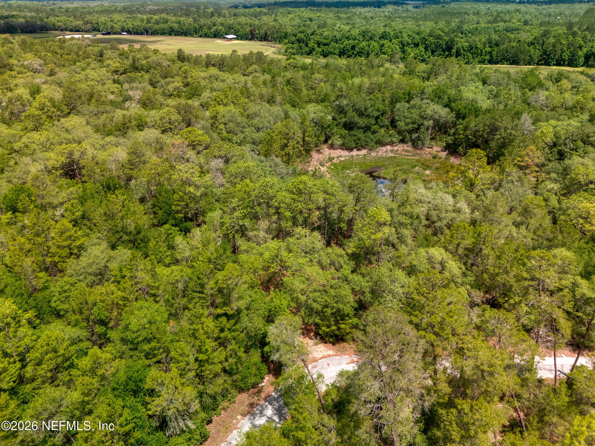 0 NE 115 AVENUE Avenue, Fort McCoy