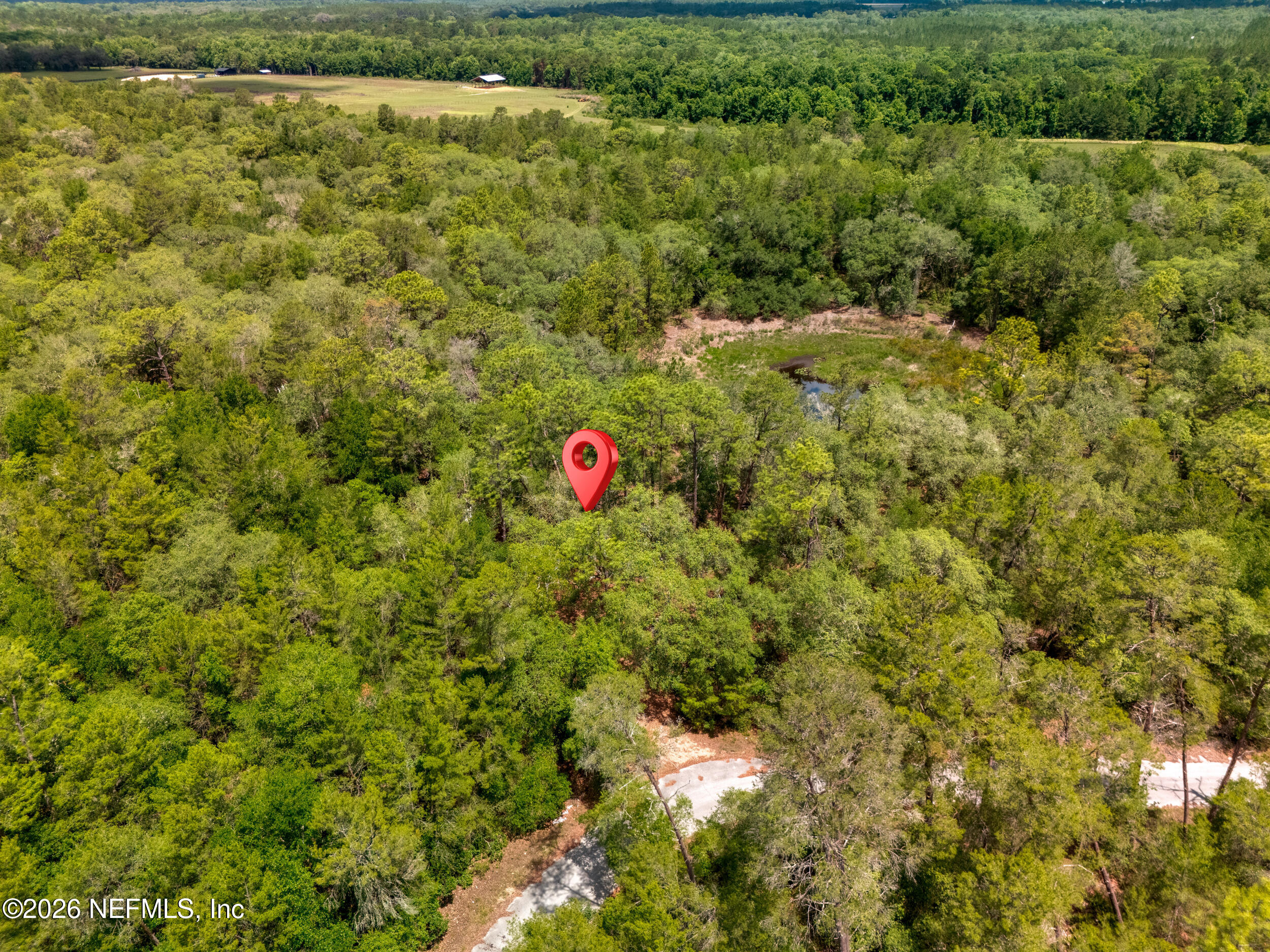 0 NE 115 AVENUE Avenue, Fort McCoy