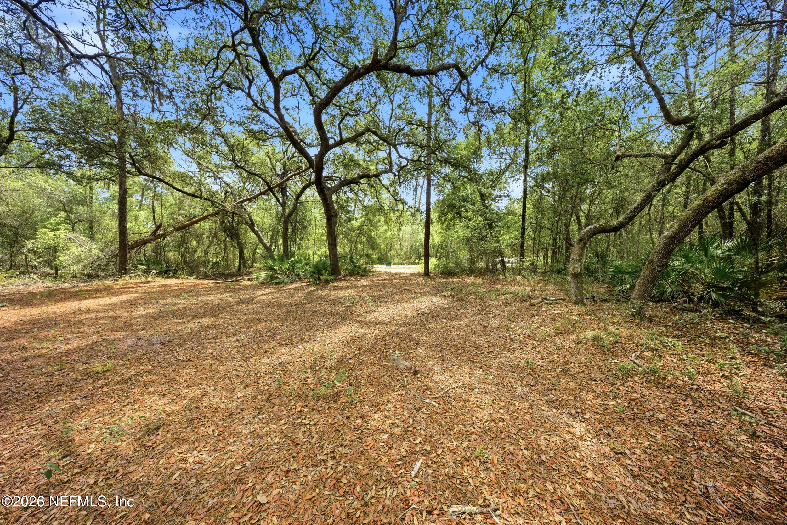 0 NE 115 AVENUE Avenue, Fort McCoy