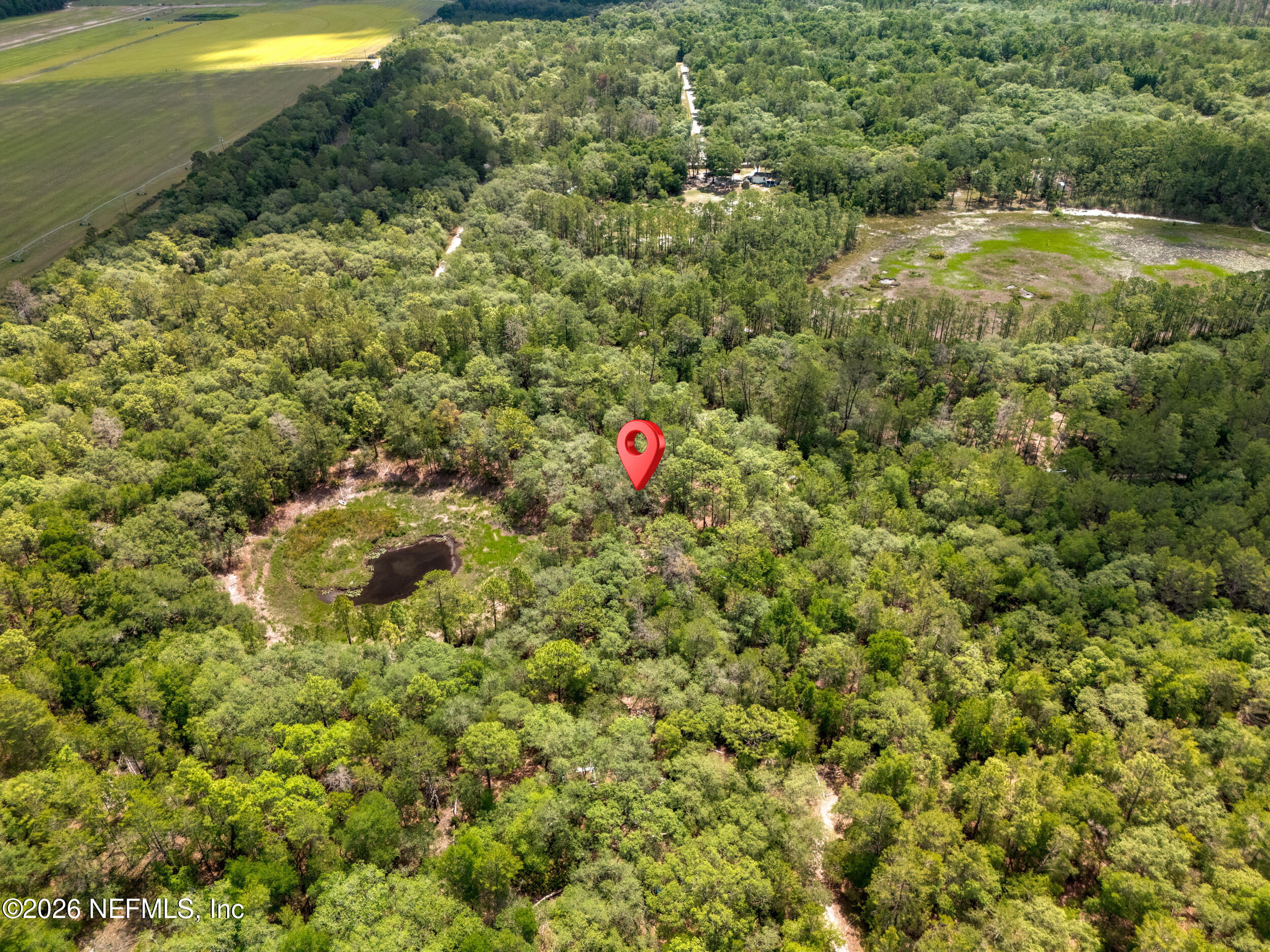 0 NE 115 AVENUE Avenue, Fort McCoy