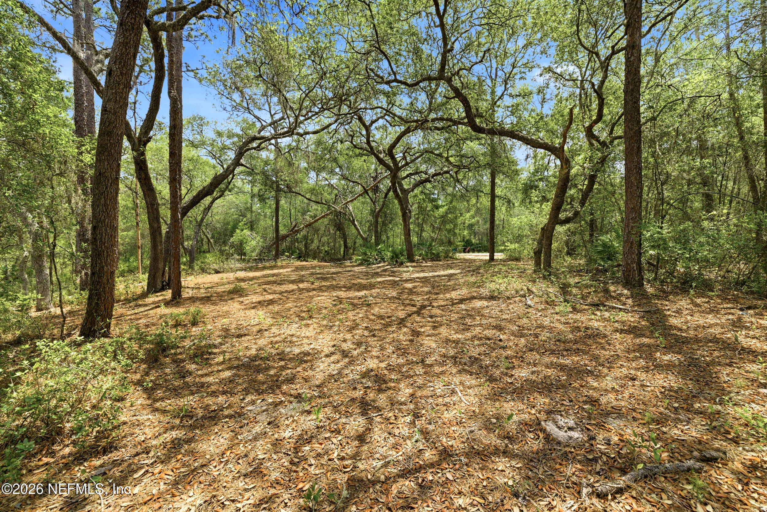 0 NE 115 AVENUE Avenue, Fort McCoy