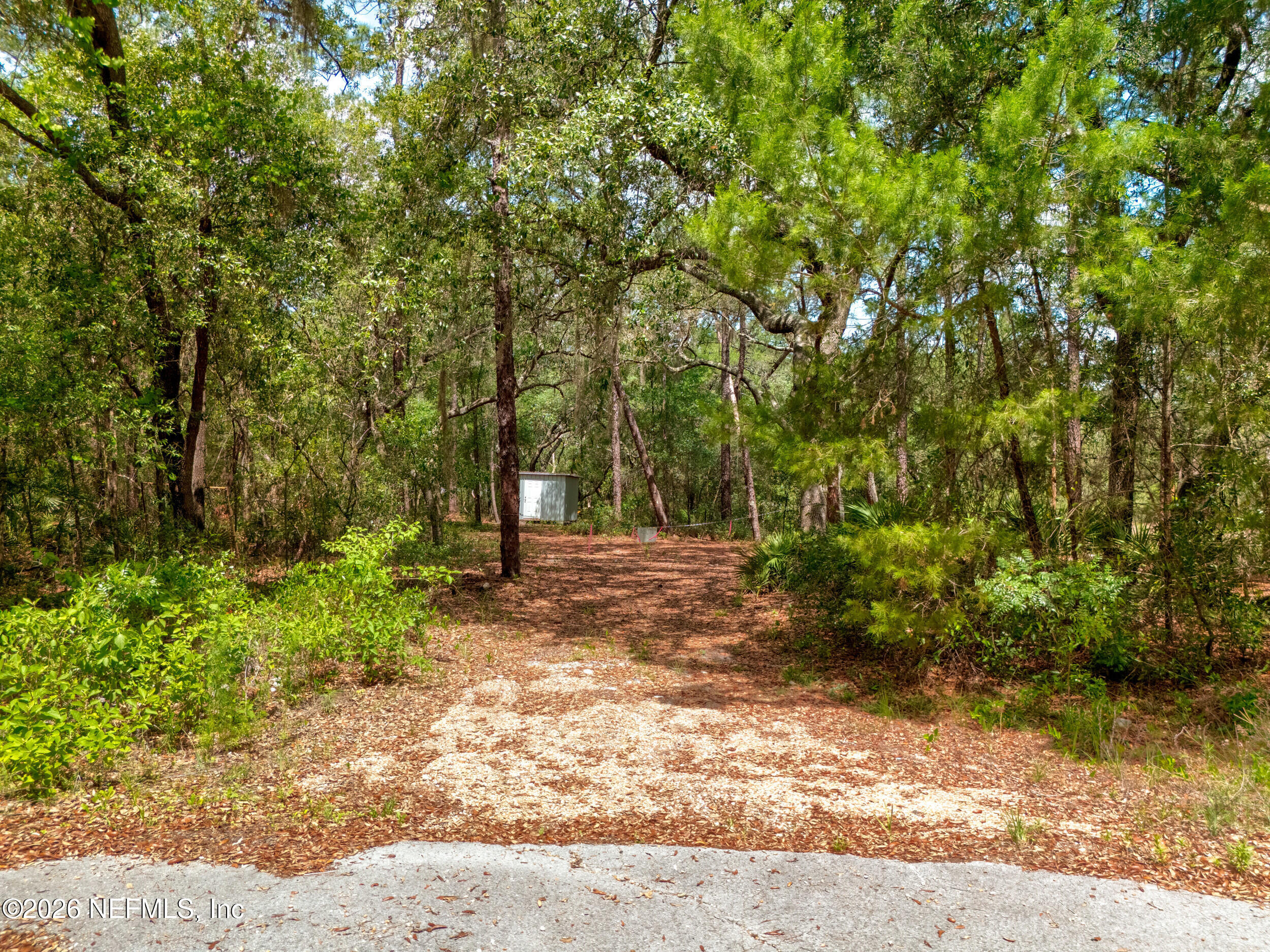 0 NE 115 AVENUE Avenue, Fort McCoy
