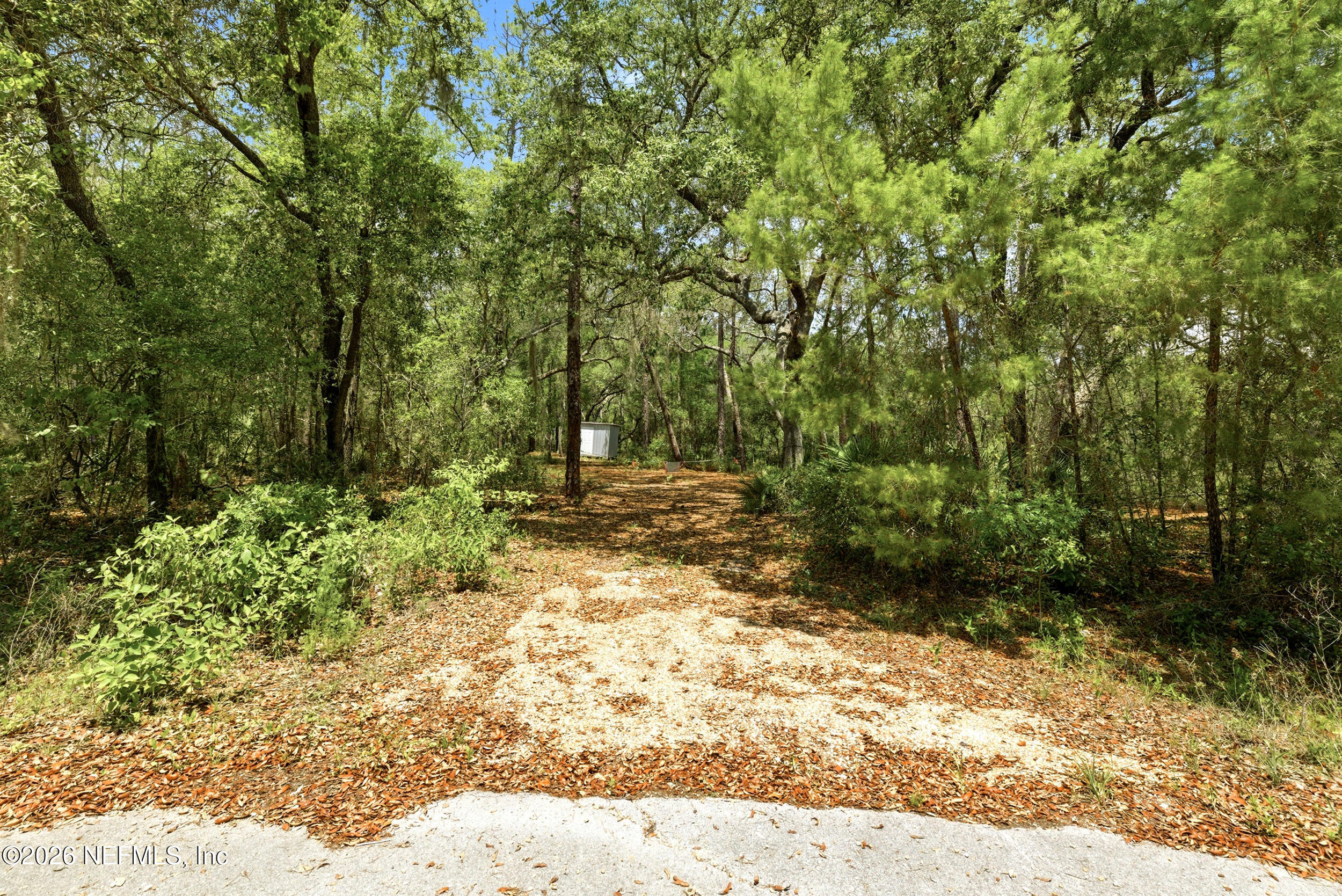 0 NE 115 AVENUE Avenue, Fort McCoy