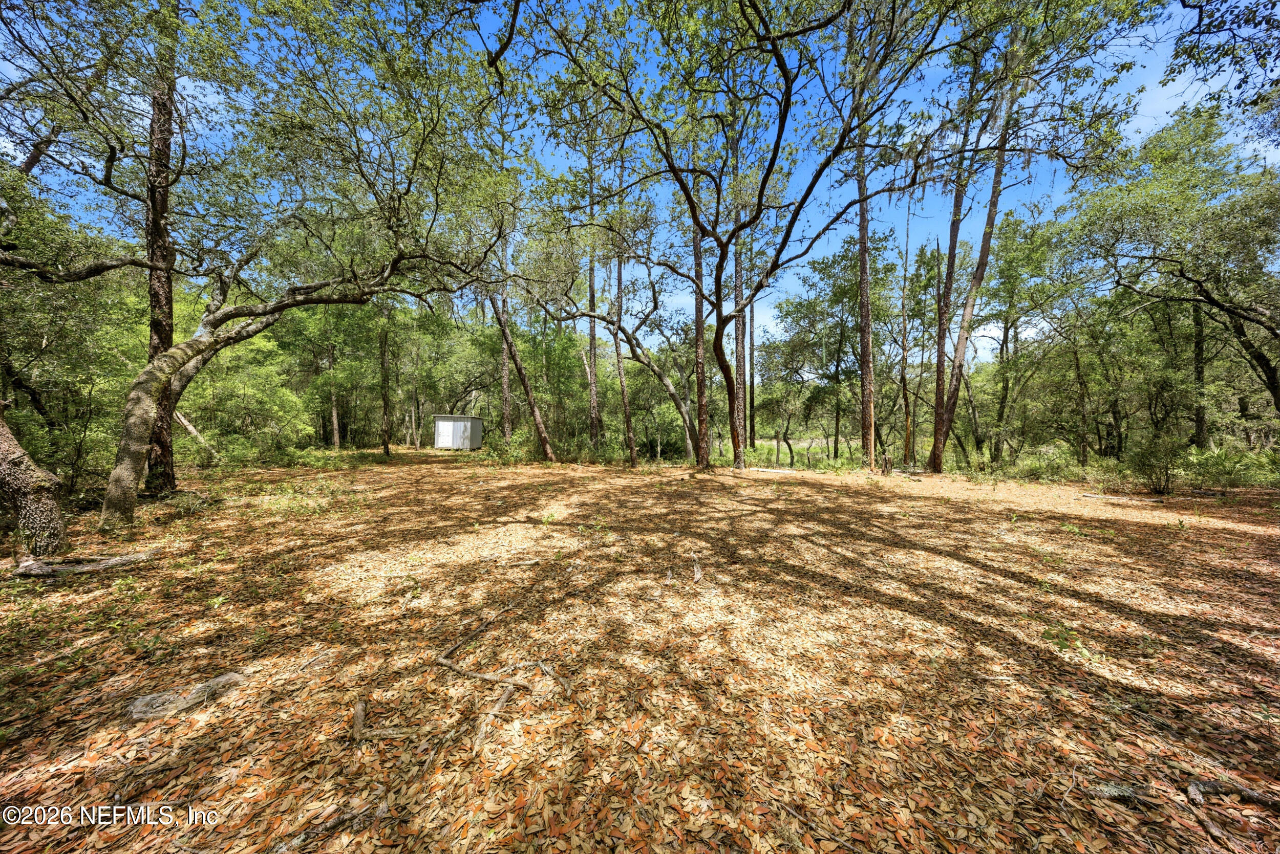 0 NE 115 AVENUE Avenue, Fort McCoy