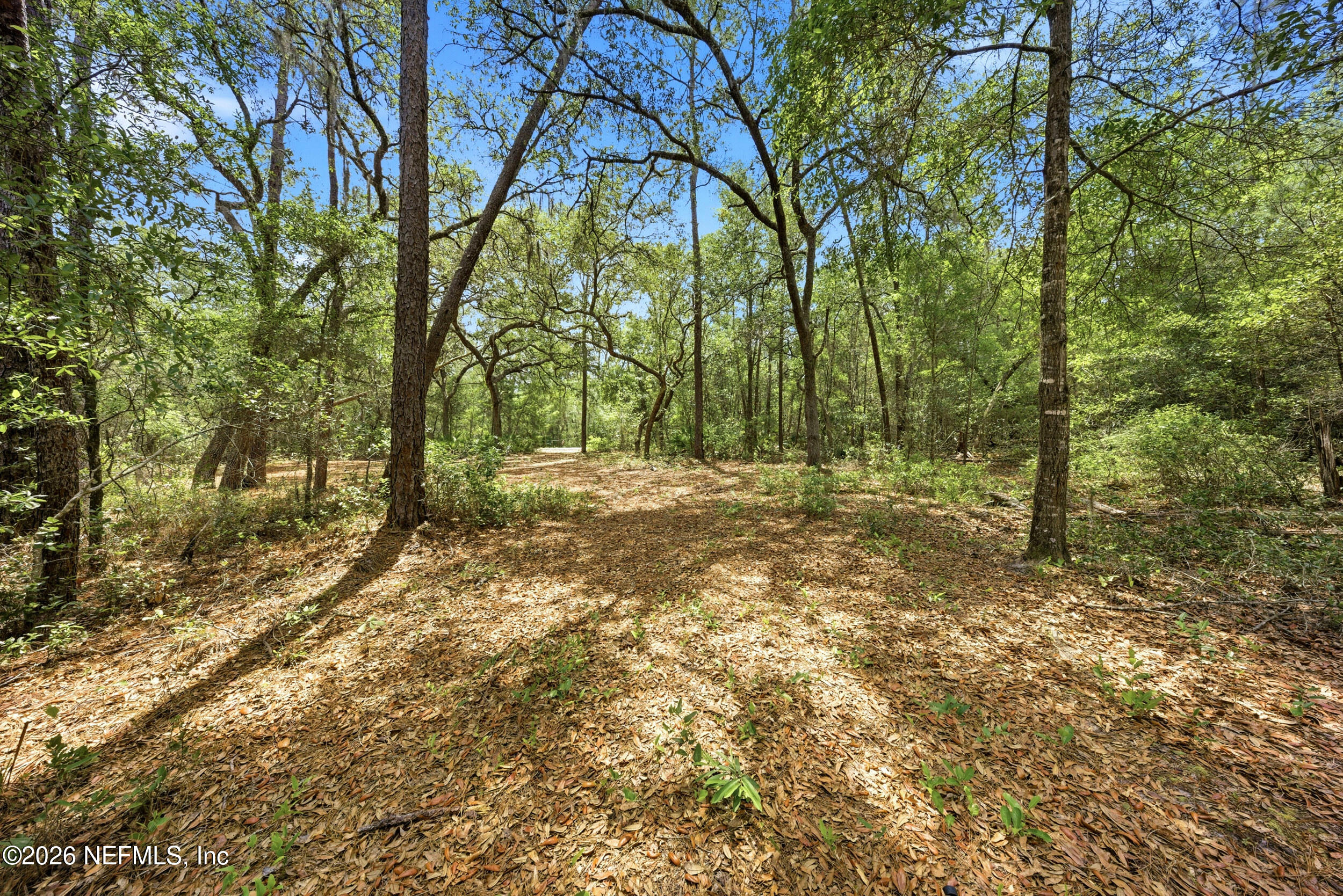 0 NE 115 AVENUE Avenue, Fort McCoy