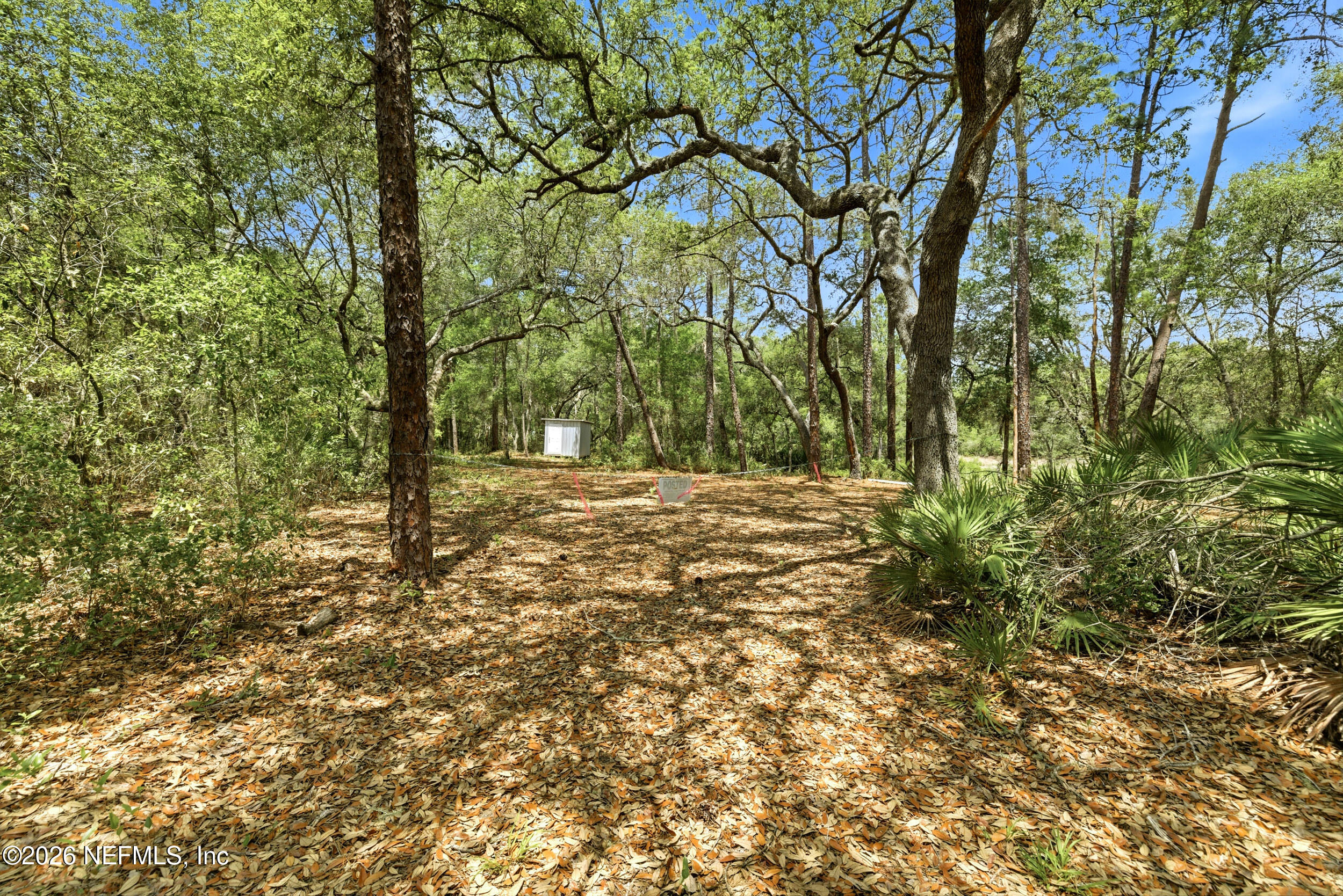 0 NE 115 AVENUE Avenue, Fort McCoy