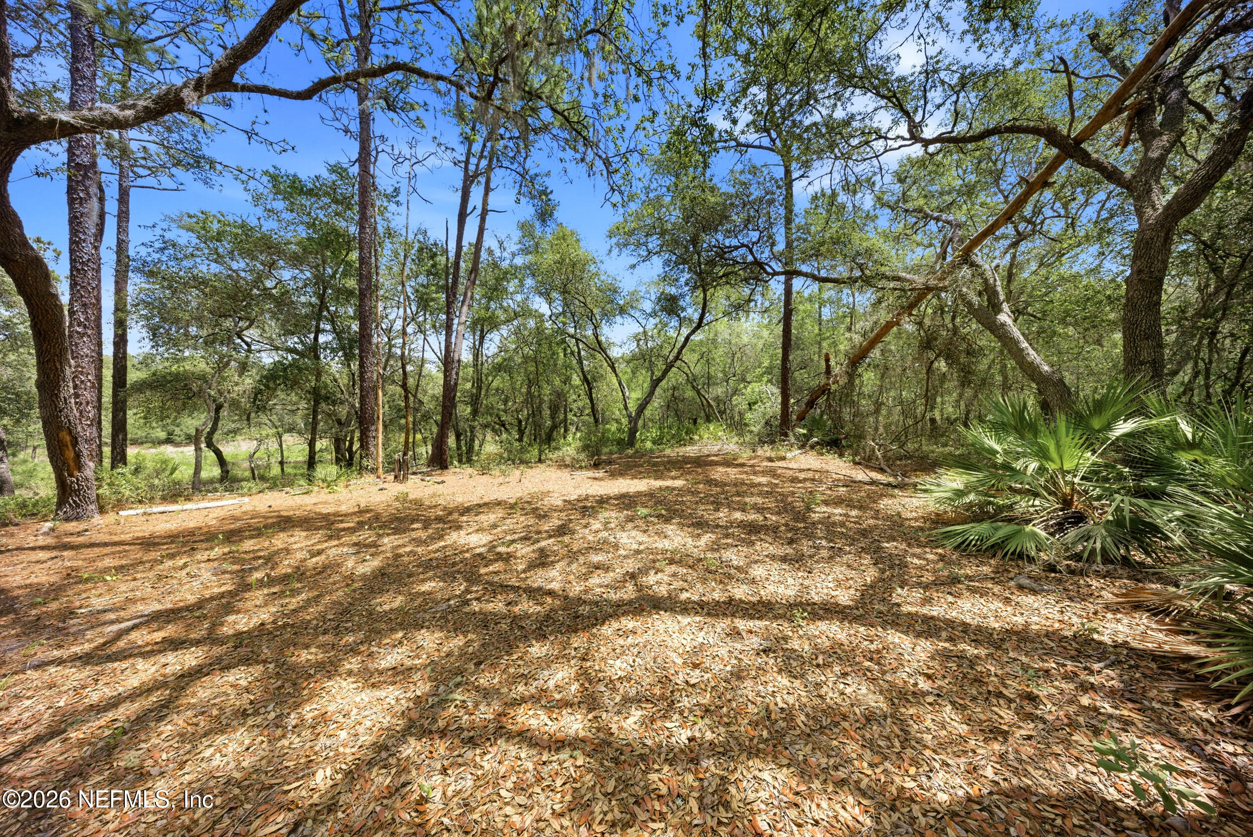 0 NE 115 AVENUE Avenue, Fort McCoy