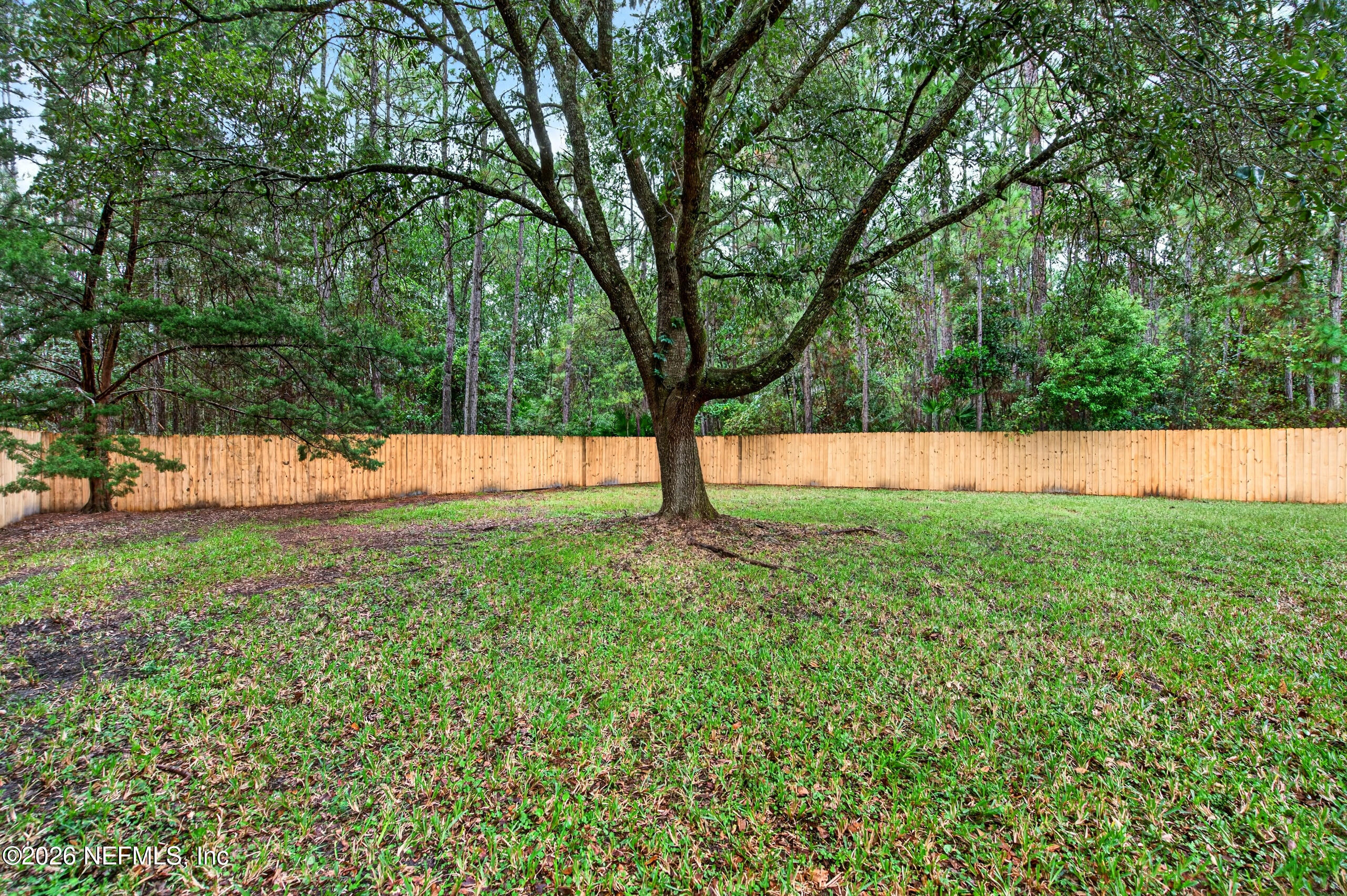 1004 SENECIO Place, St. Johns