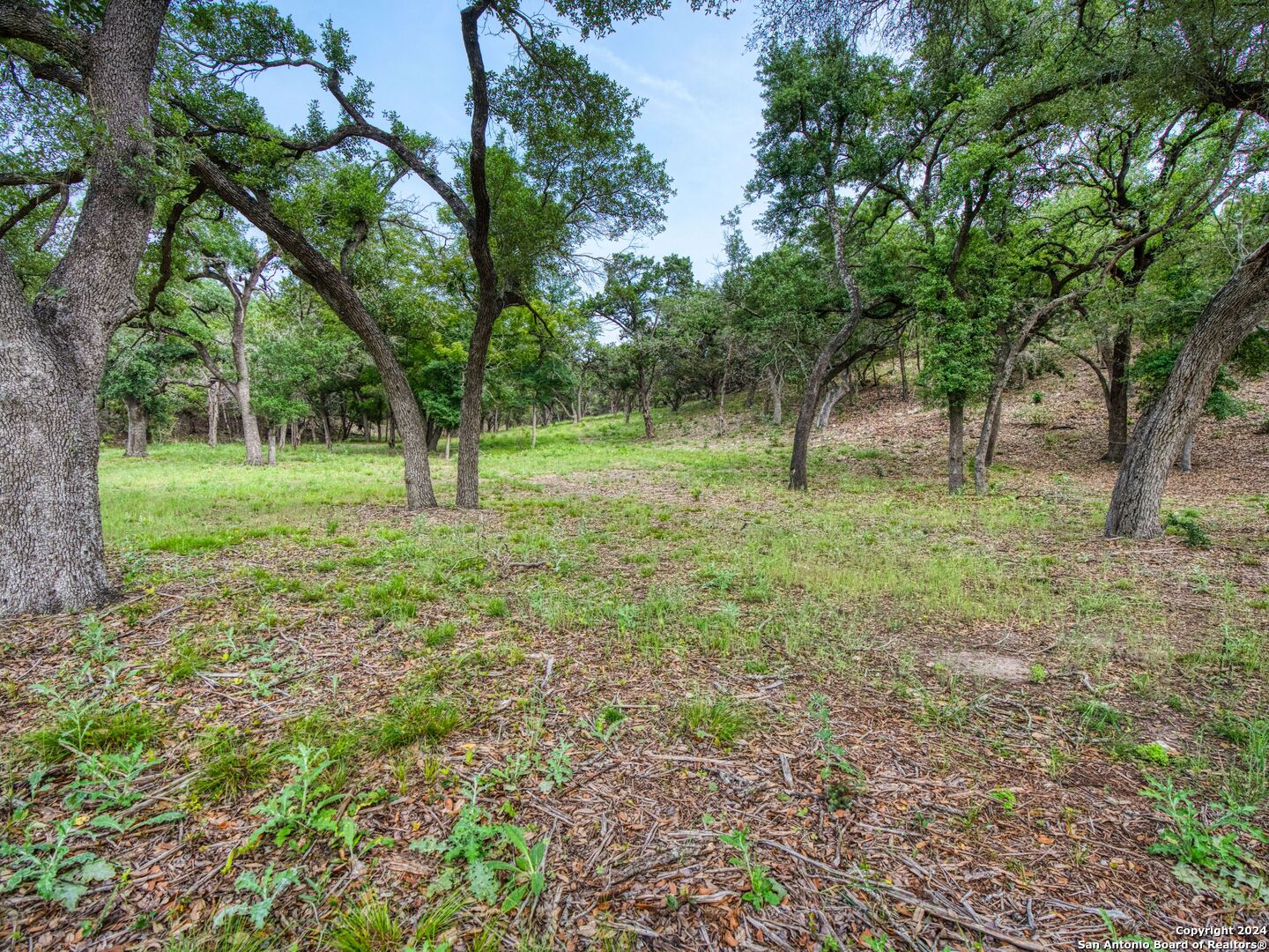 3519 COMAL SPGS