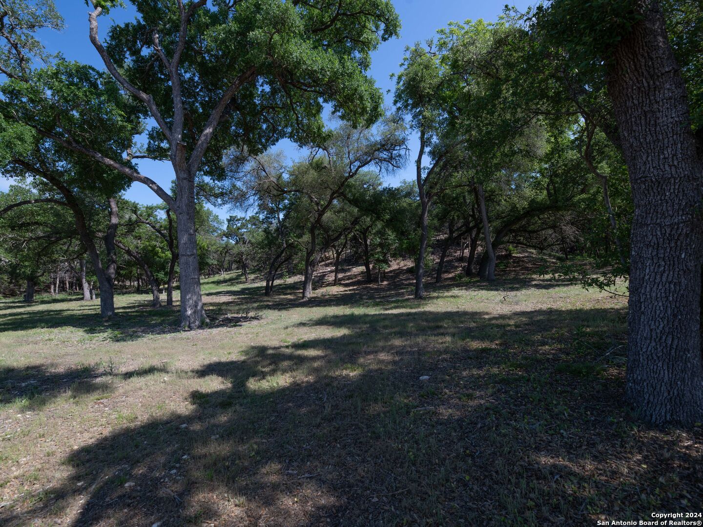3519 COMAL SPGS