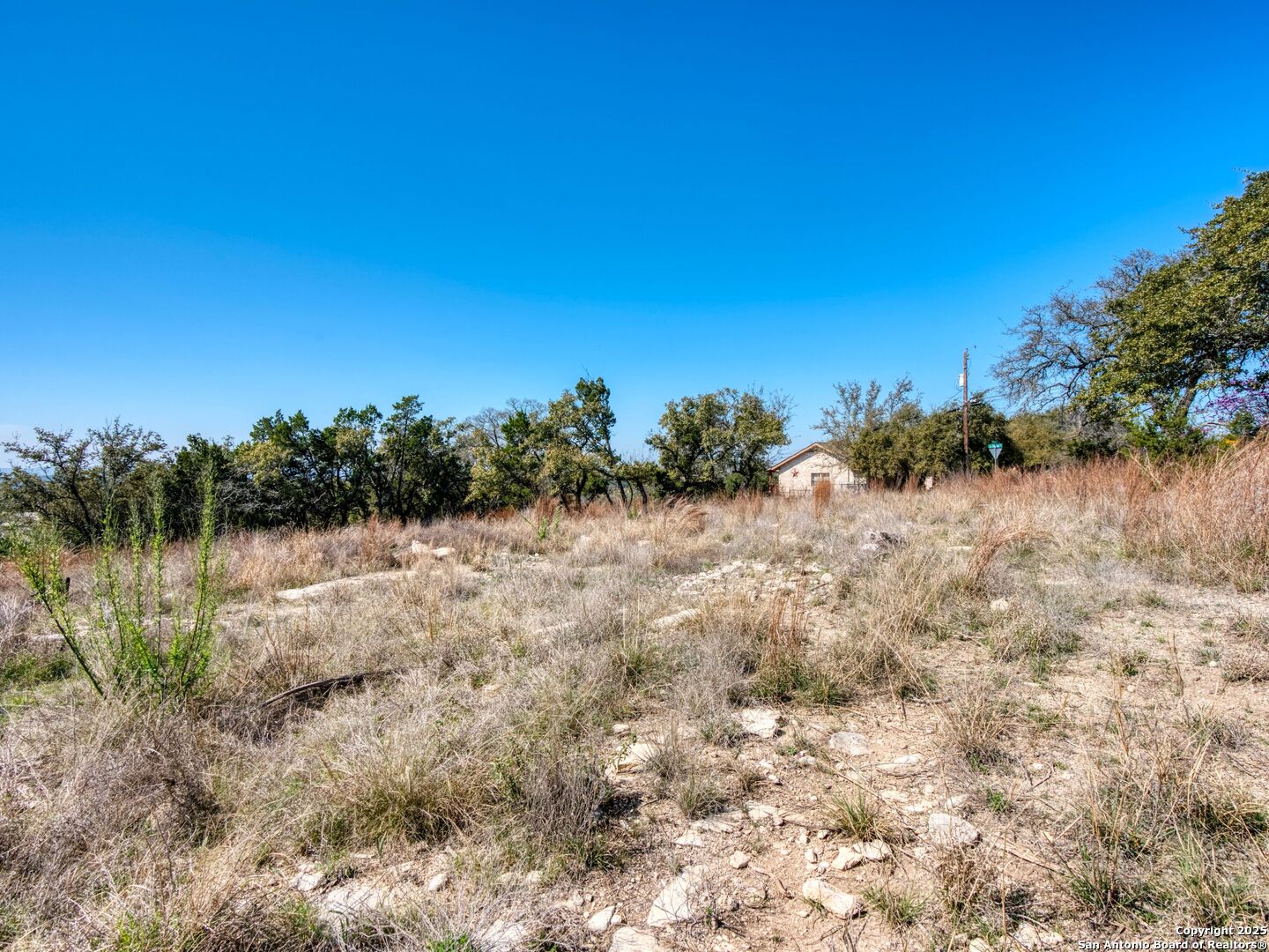 313 La Paloma
