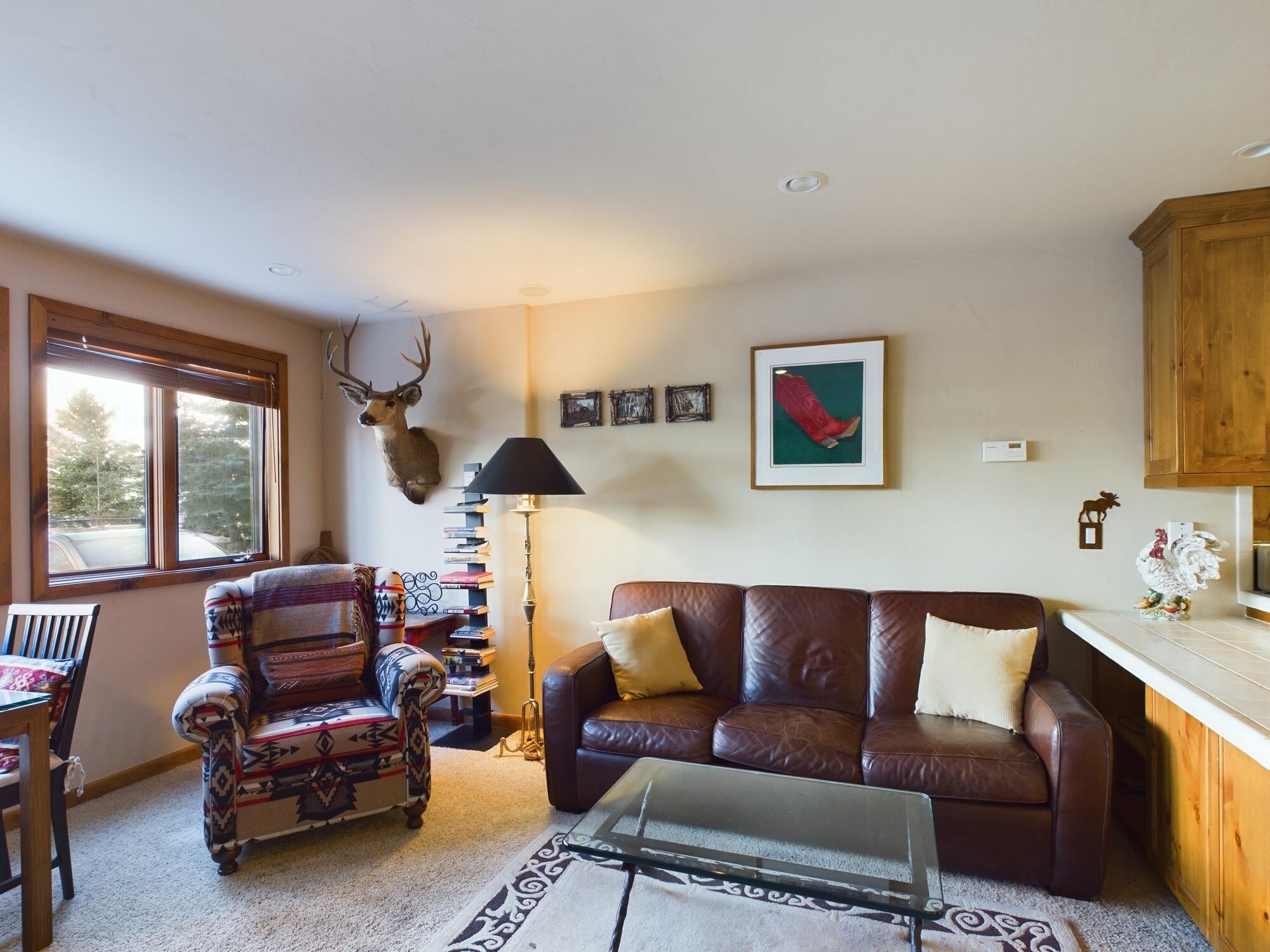 125 Picabo St F7