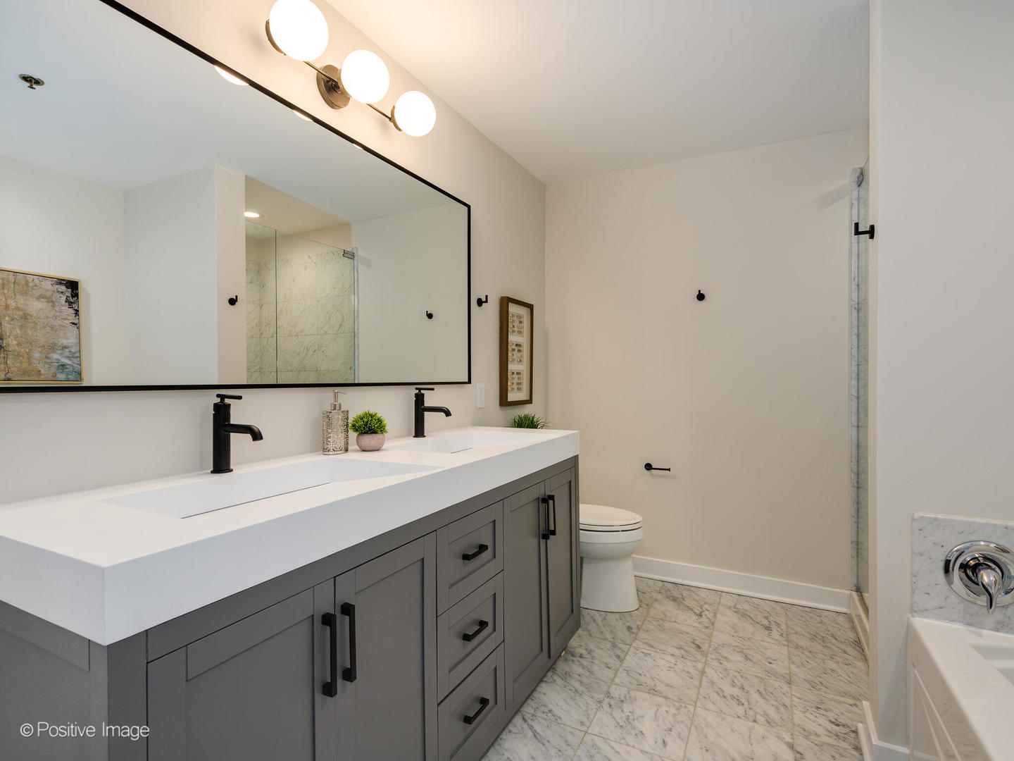 250 E Pearson Street Unit: 3102