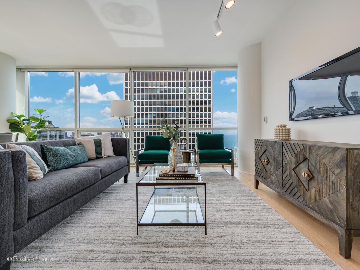 250 E Pearson Street Unit: 3102
