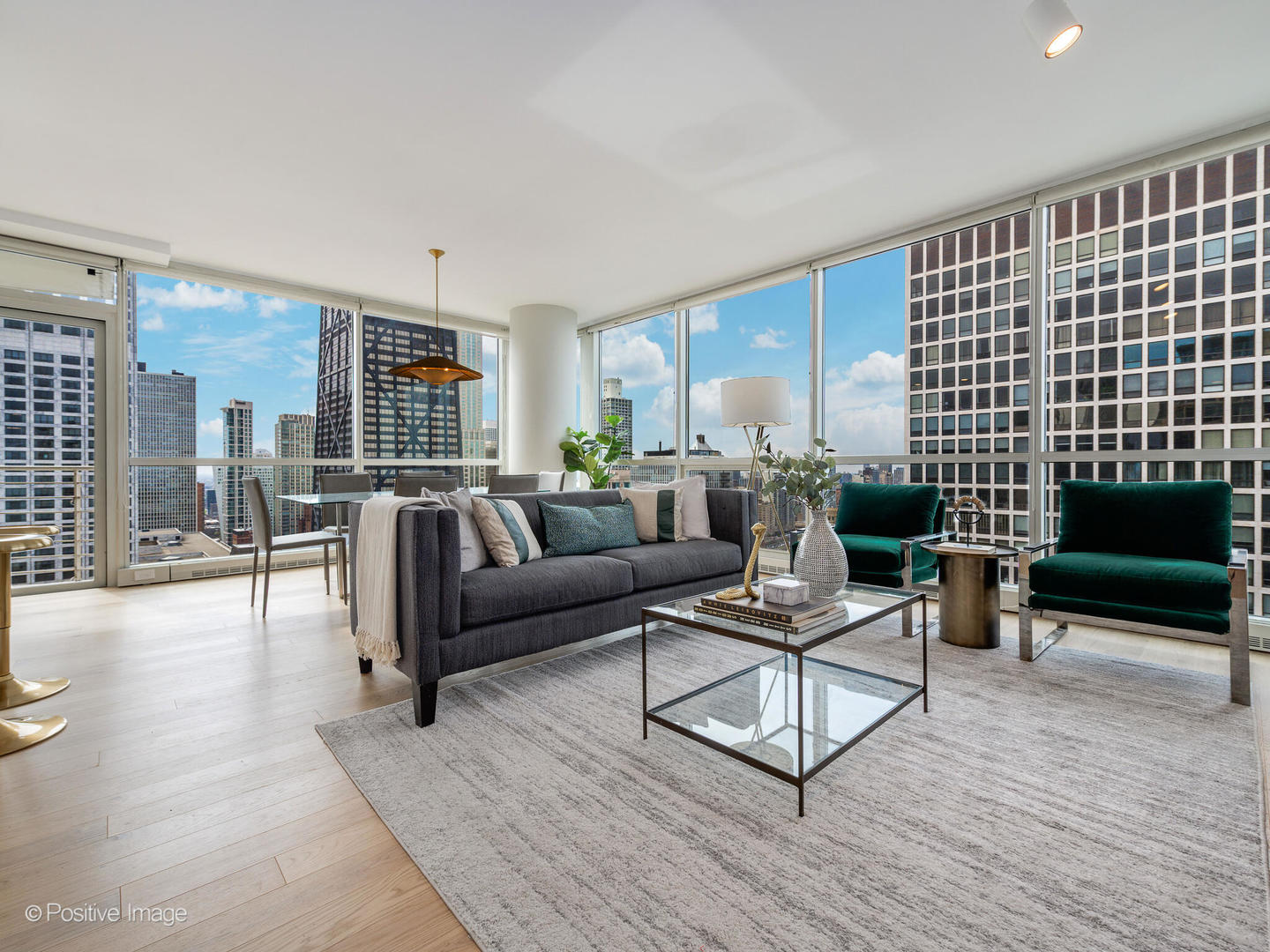 250 E Pearson Street Unit: 3102