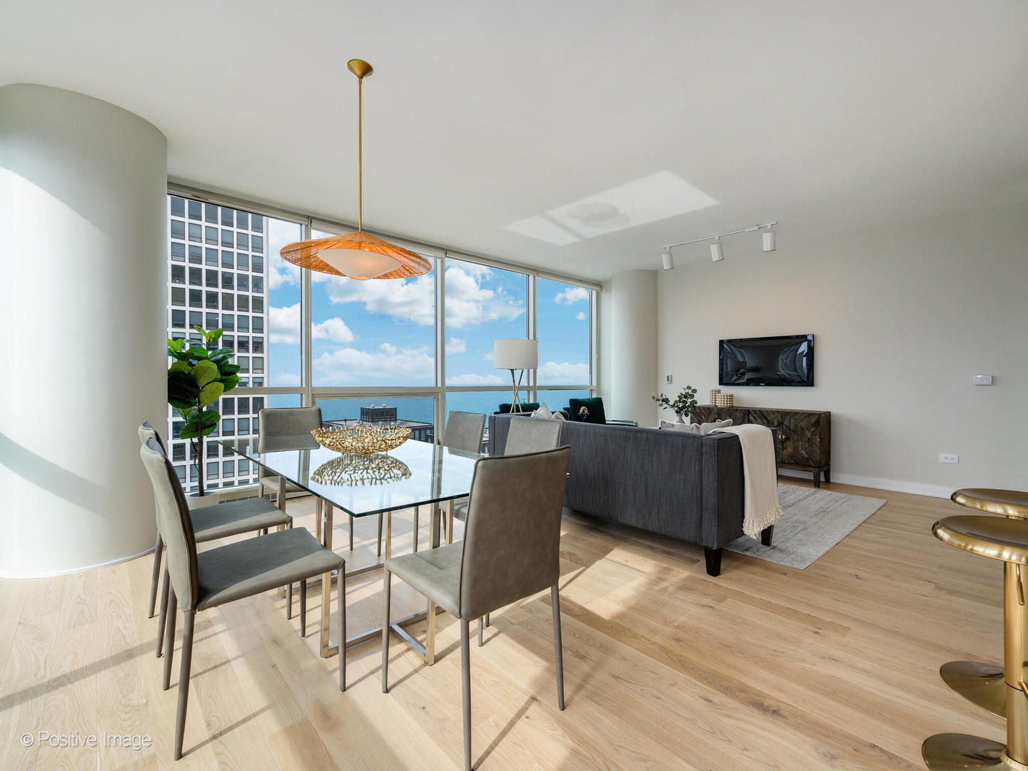250 E Pearson Street Unit: 3102