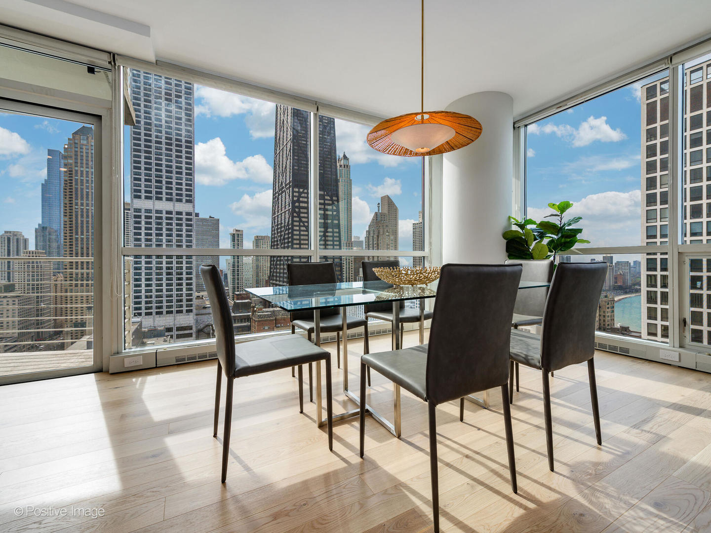 250 E Pearson Street Unit: 3102