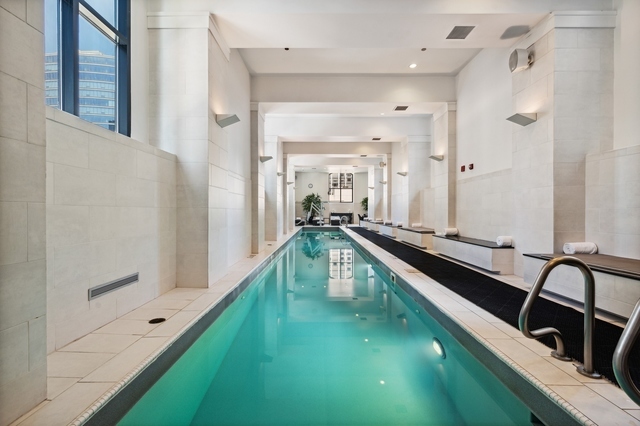 11 E Walton Street Unit: 2901