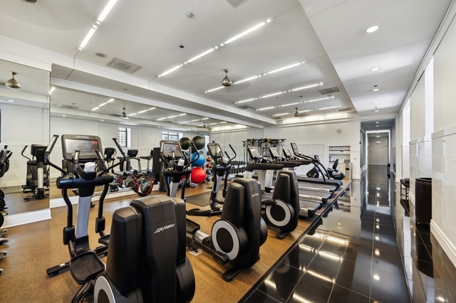 11 E Walton Street Unit: 2901