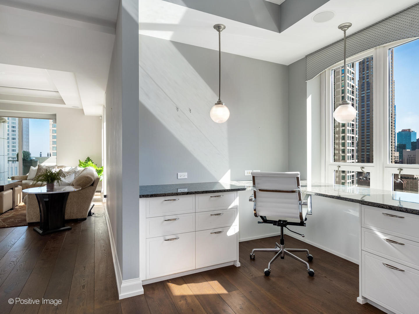 11 E Walton Street Unit: 2901