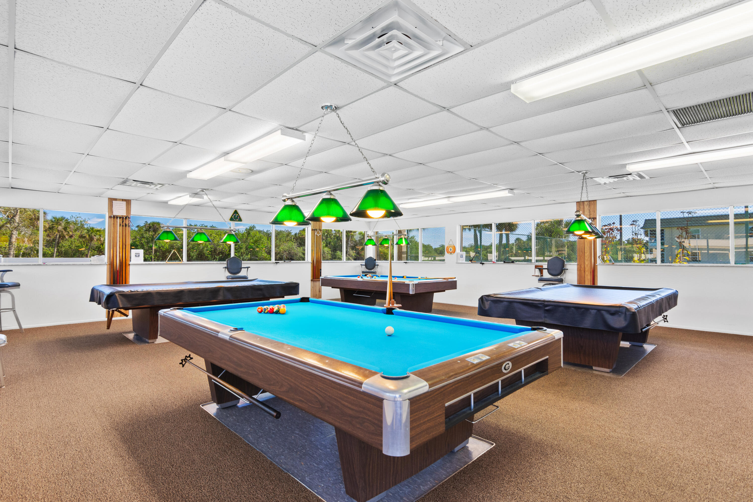 66 Woodland Drive 204